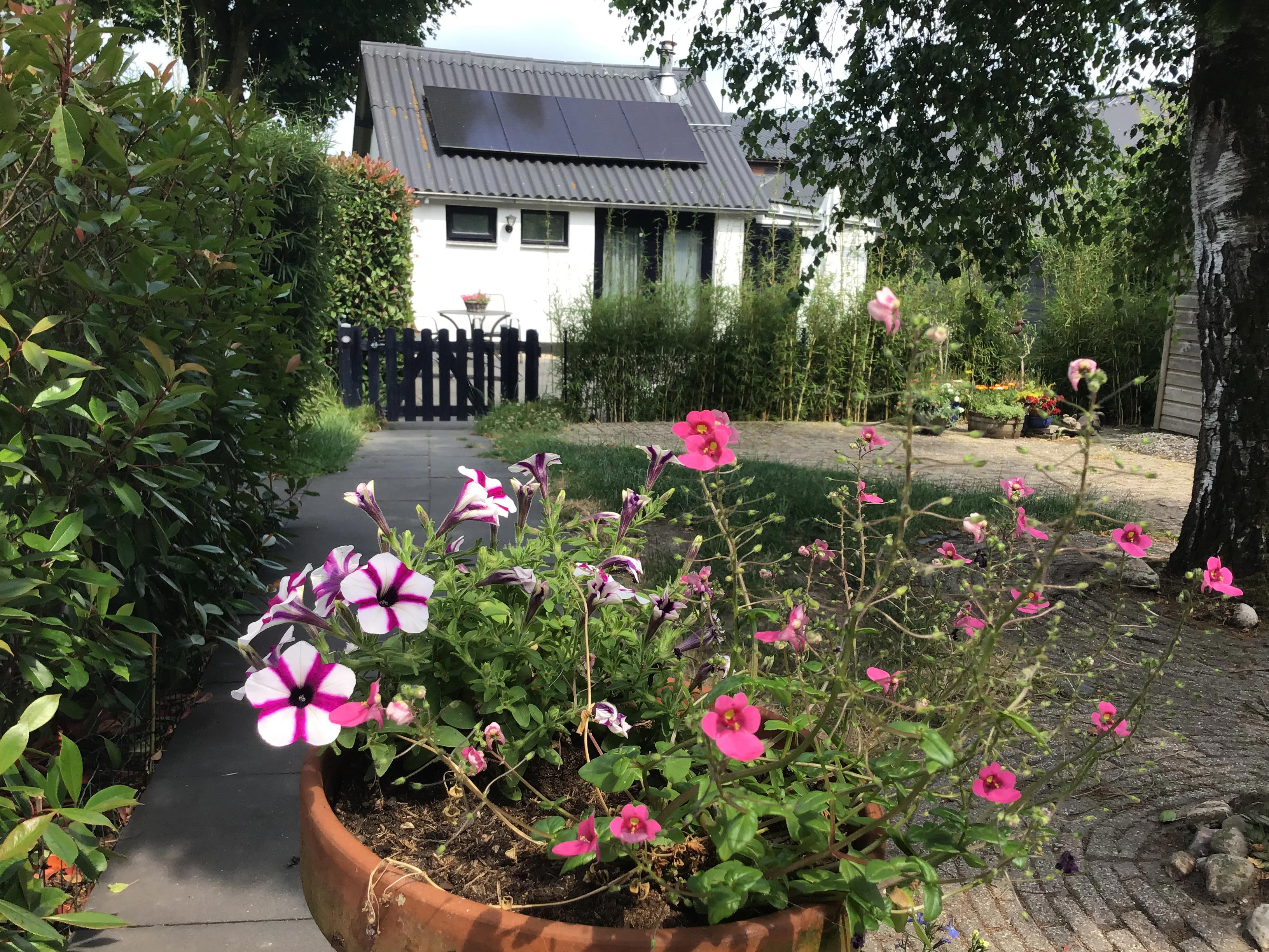 Nature house in Oldebroek