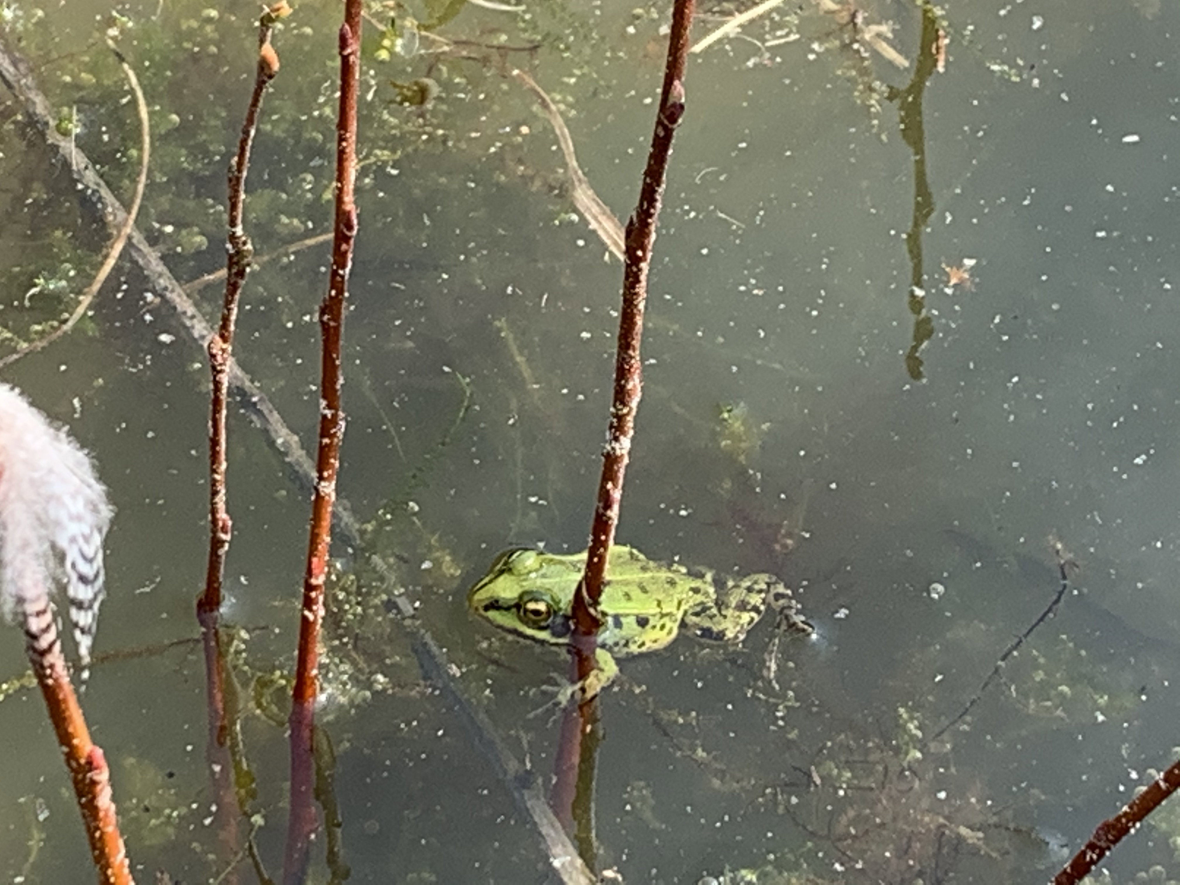 - image: 47
