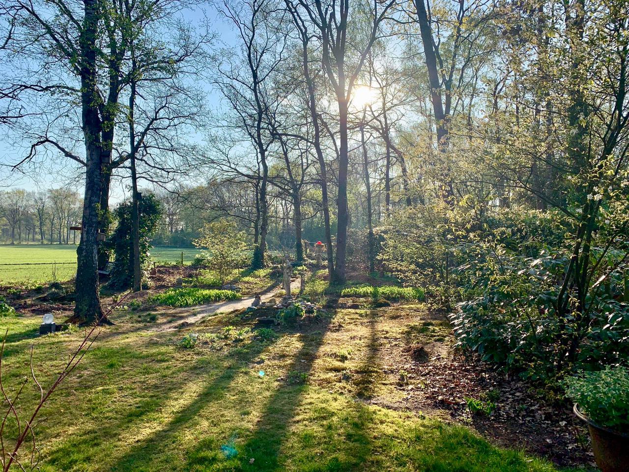 Naturhäuschen in Harfsen