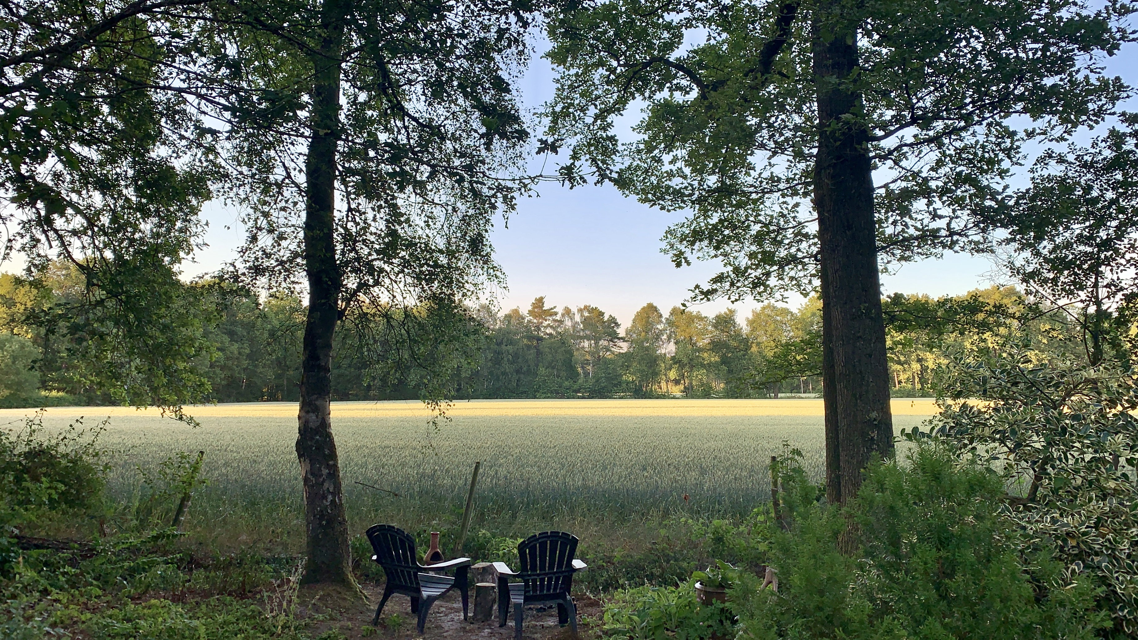 Naturhäuschen in Harfsen