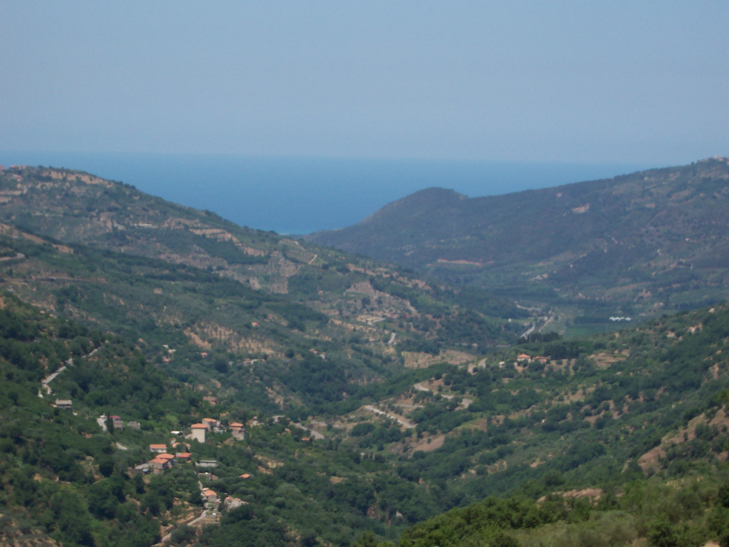 - image: 6