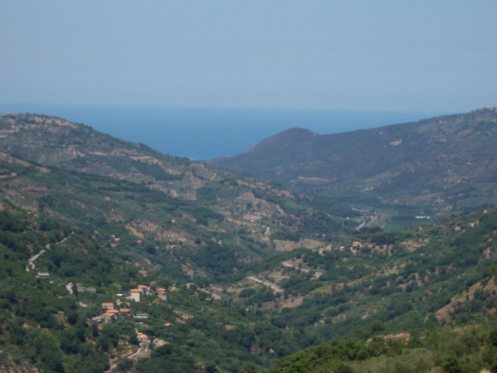 - image: 28