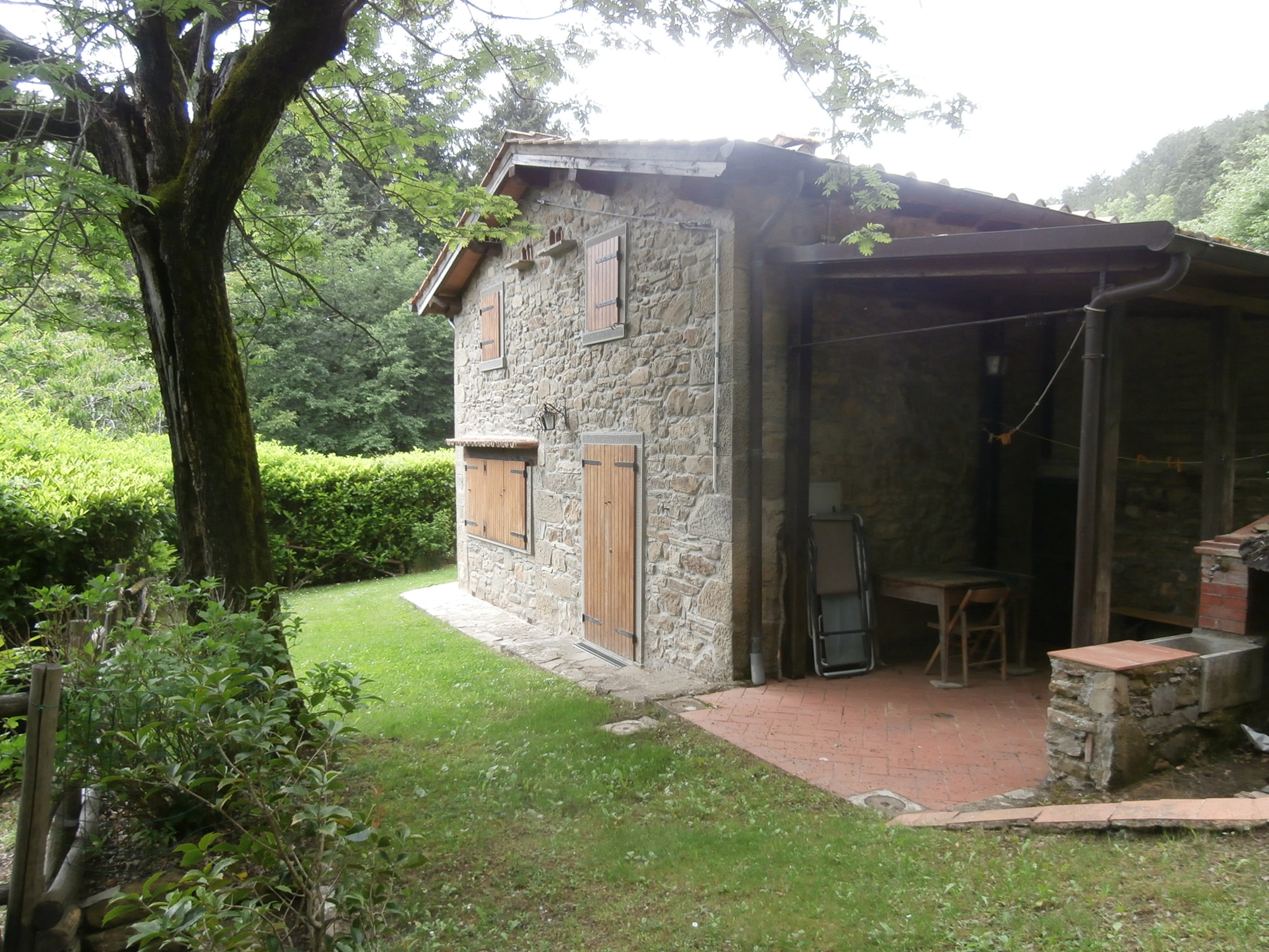 - image: 12