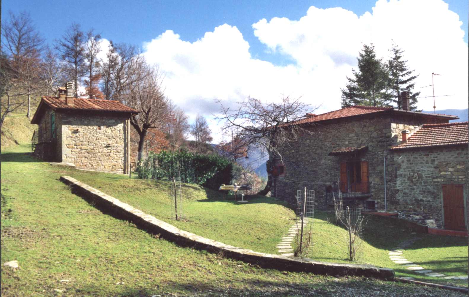 - image: 20