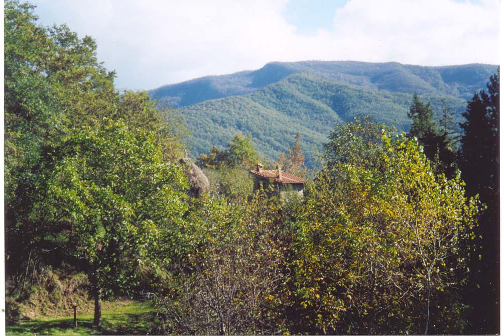 Maison nature à Camaldoli - Parco Nazionale delle Foreste Casentinesi