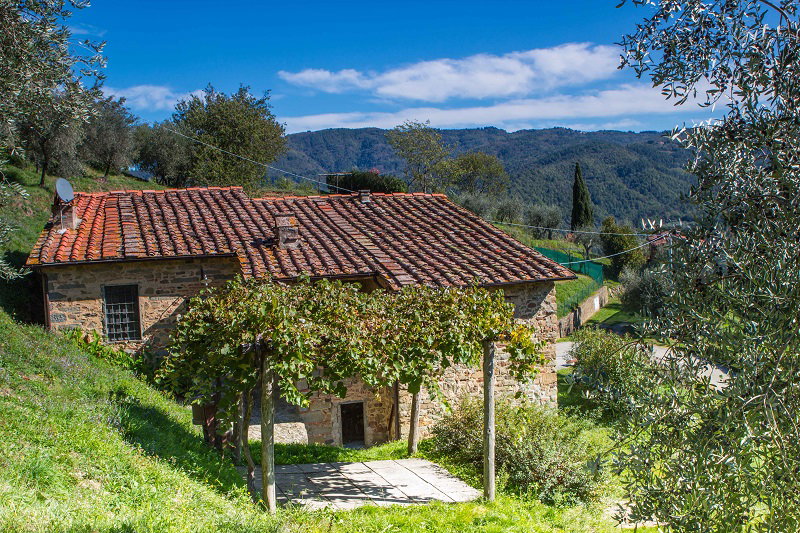 Maison nature à pescia