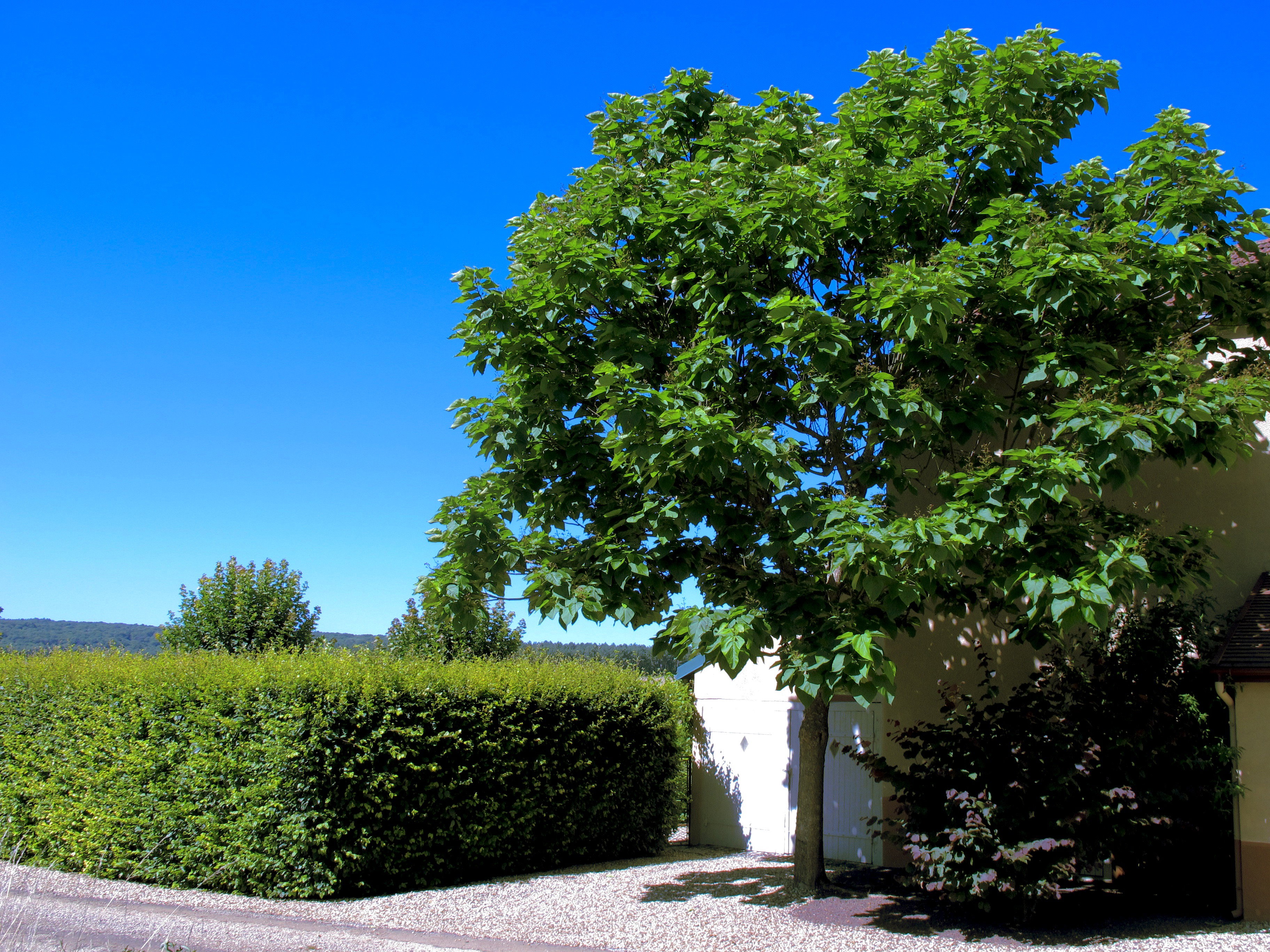 Casa nella natura a Maâtz