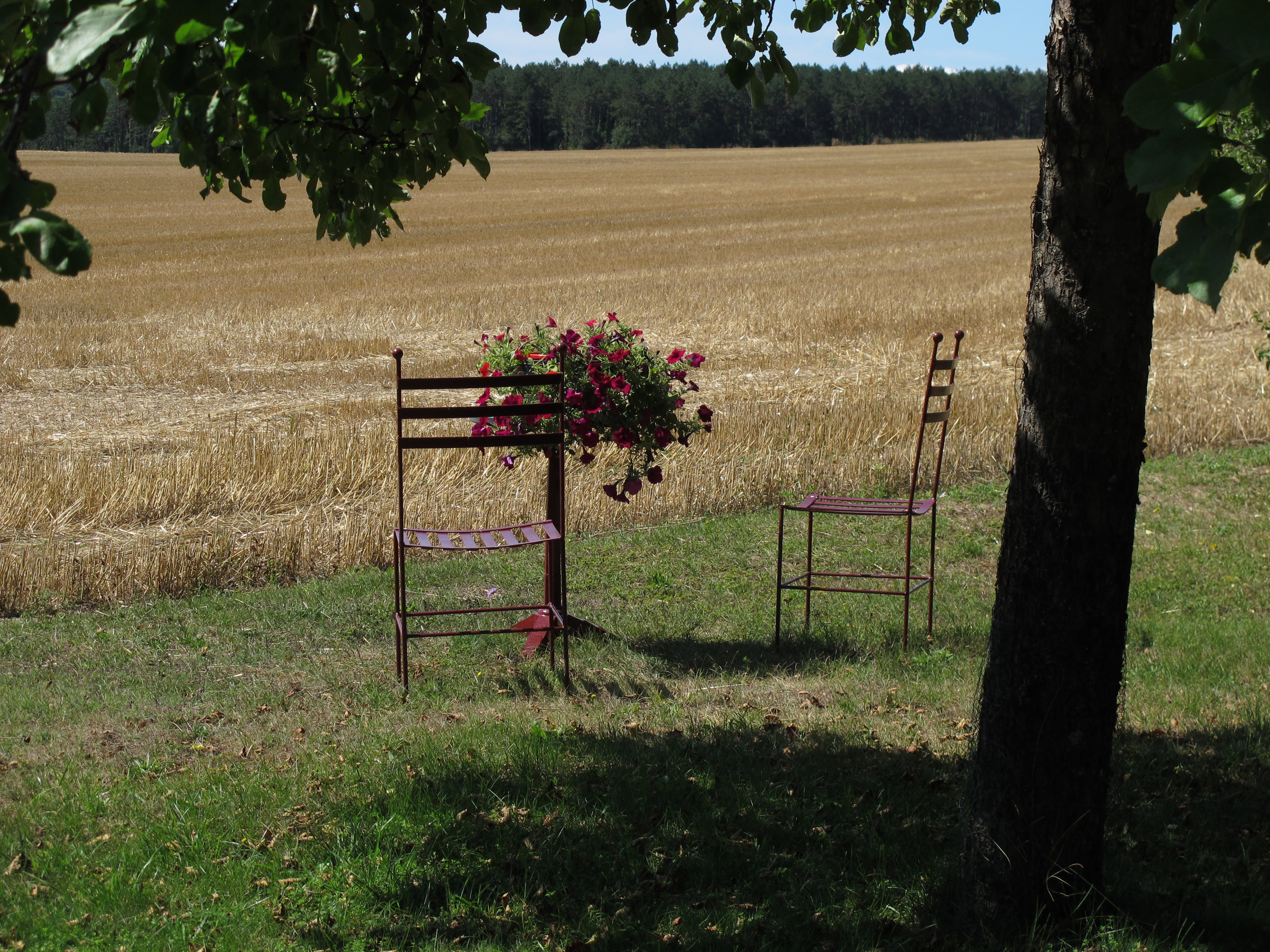 - image: 16