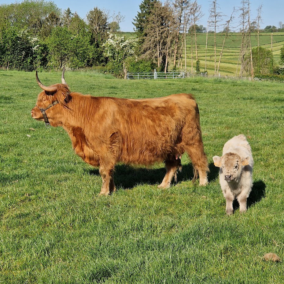 Naturhäuschen in Hombourg