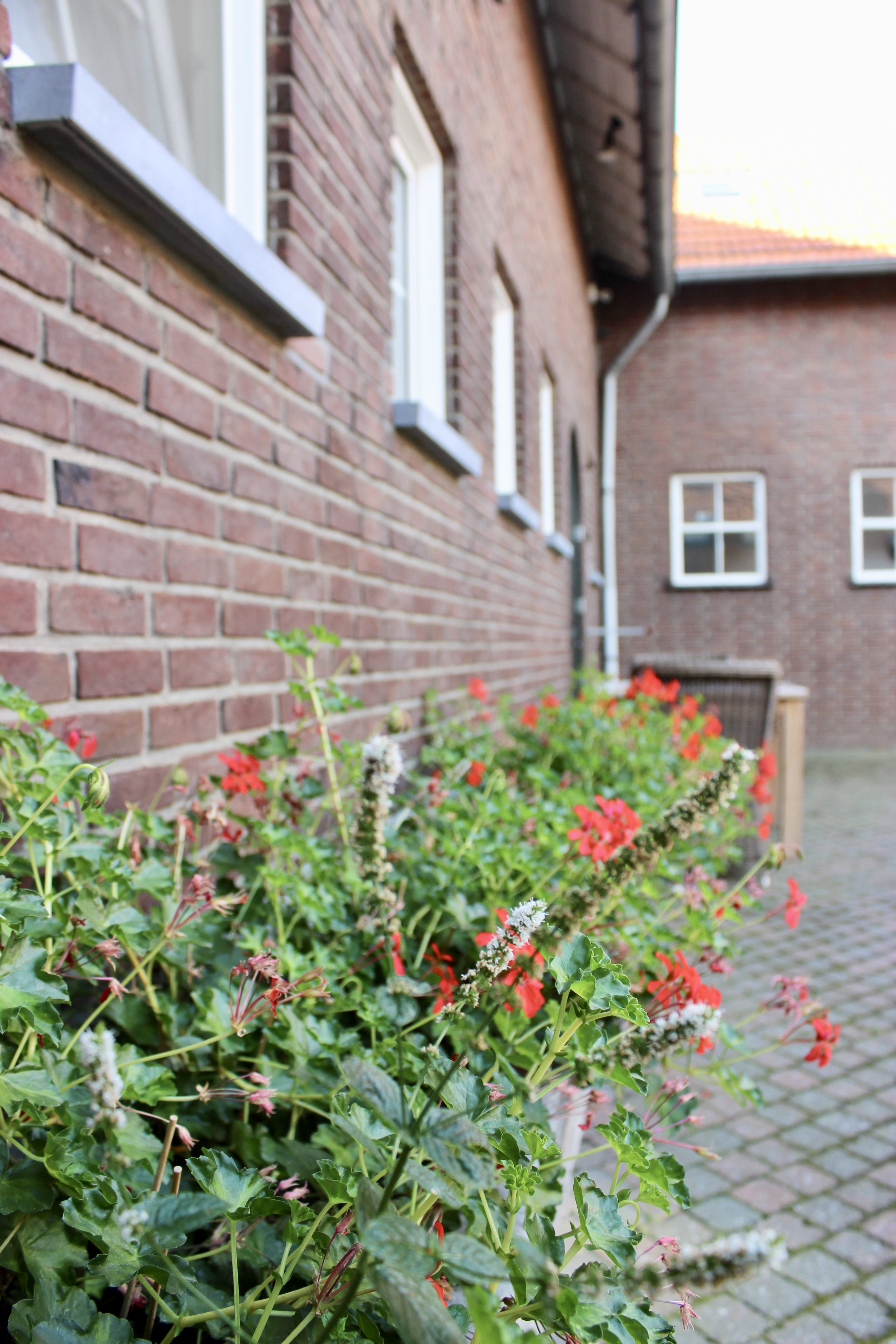 Natuurhuisje in Gulpen