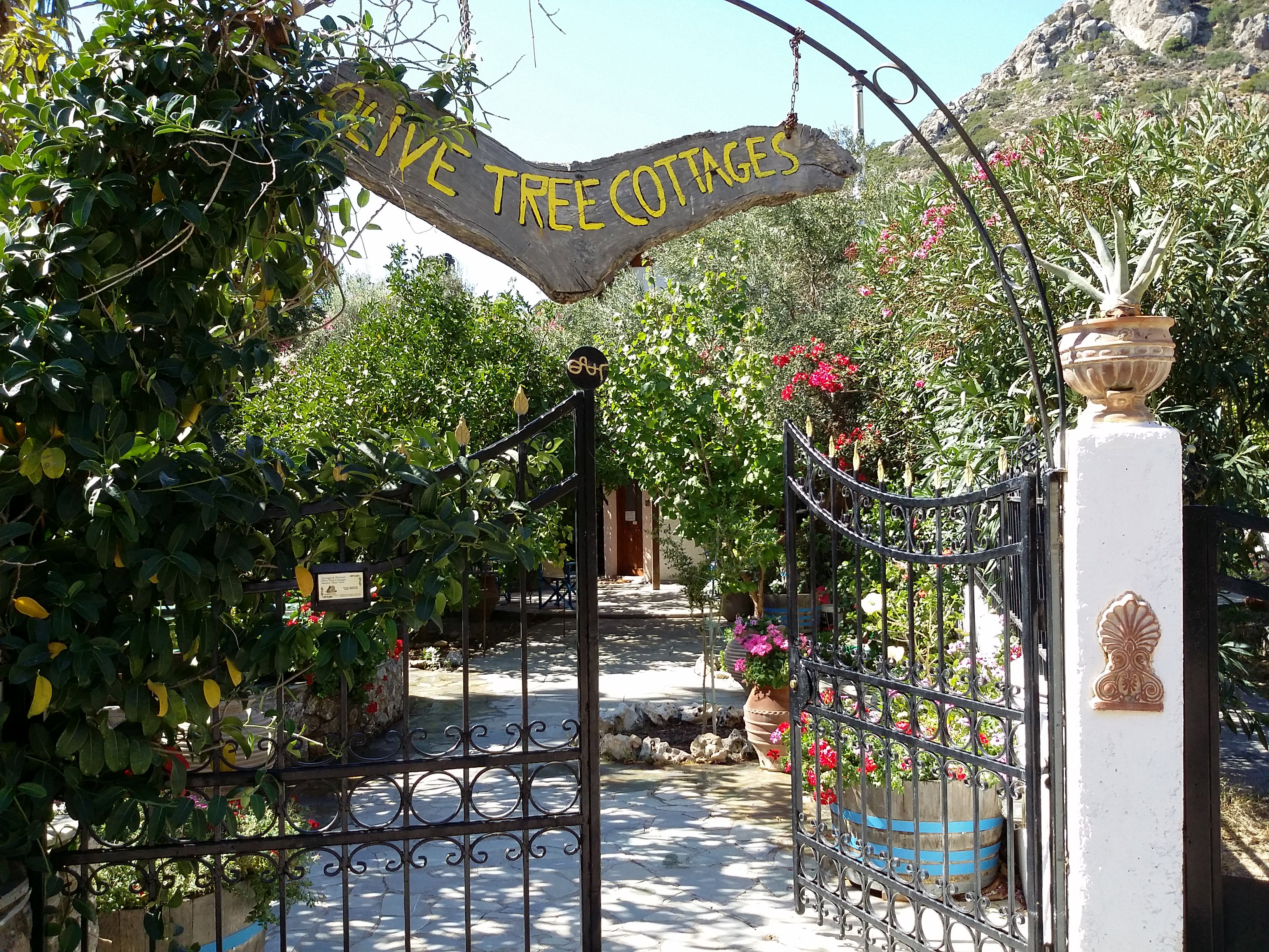 - image: 1