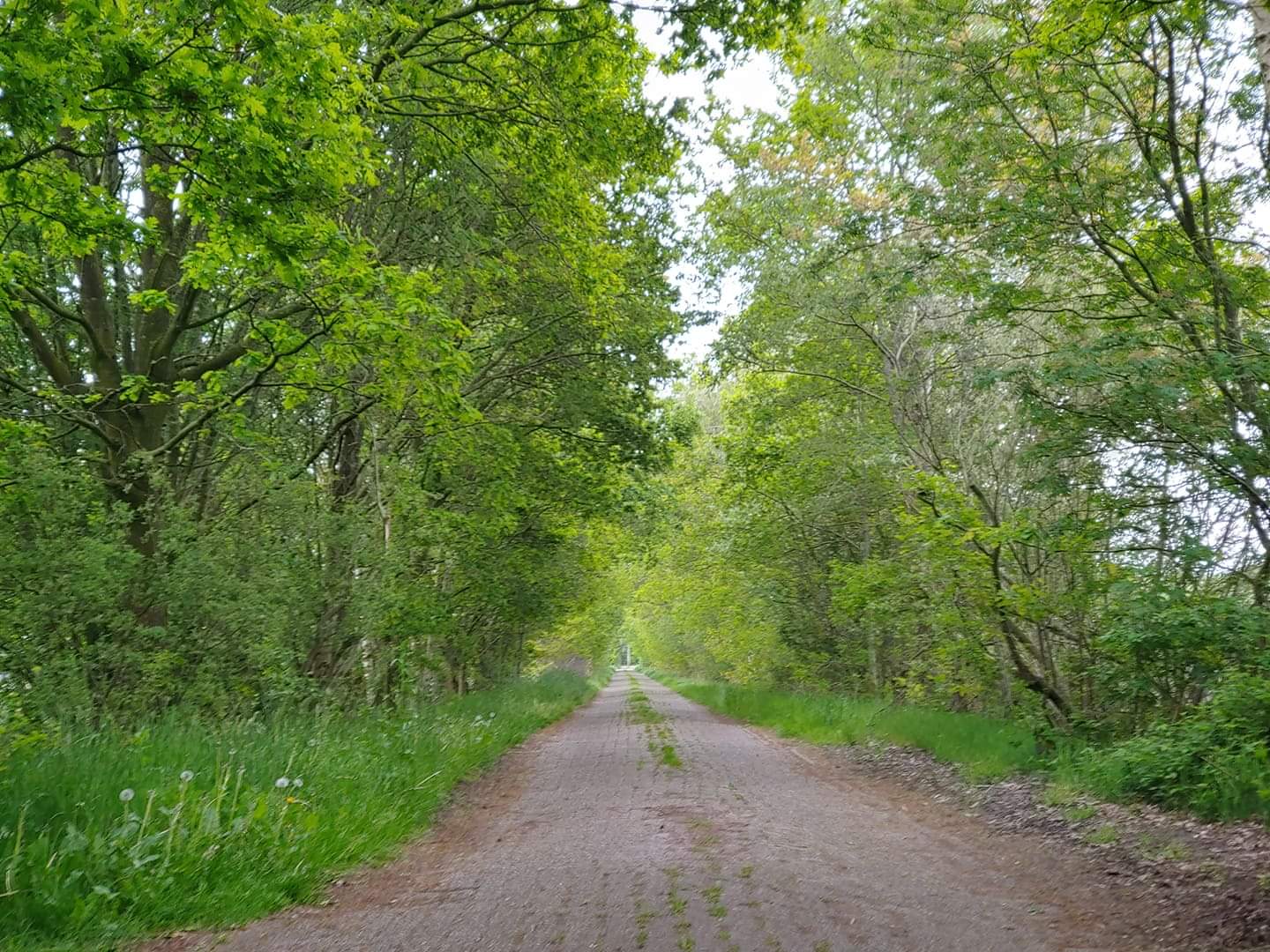 Naturhäuschen in Zuidwolde