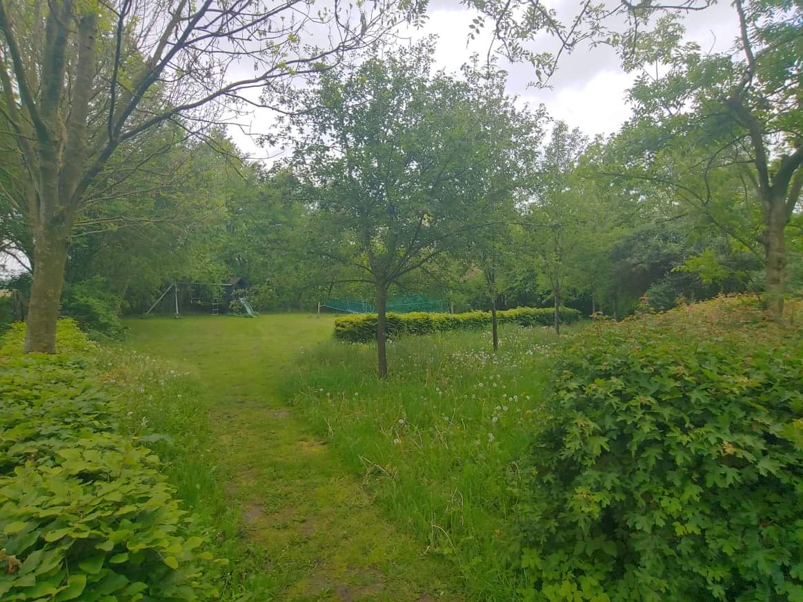 Naturhäuschen in Zuidwolde