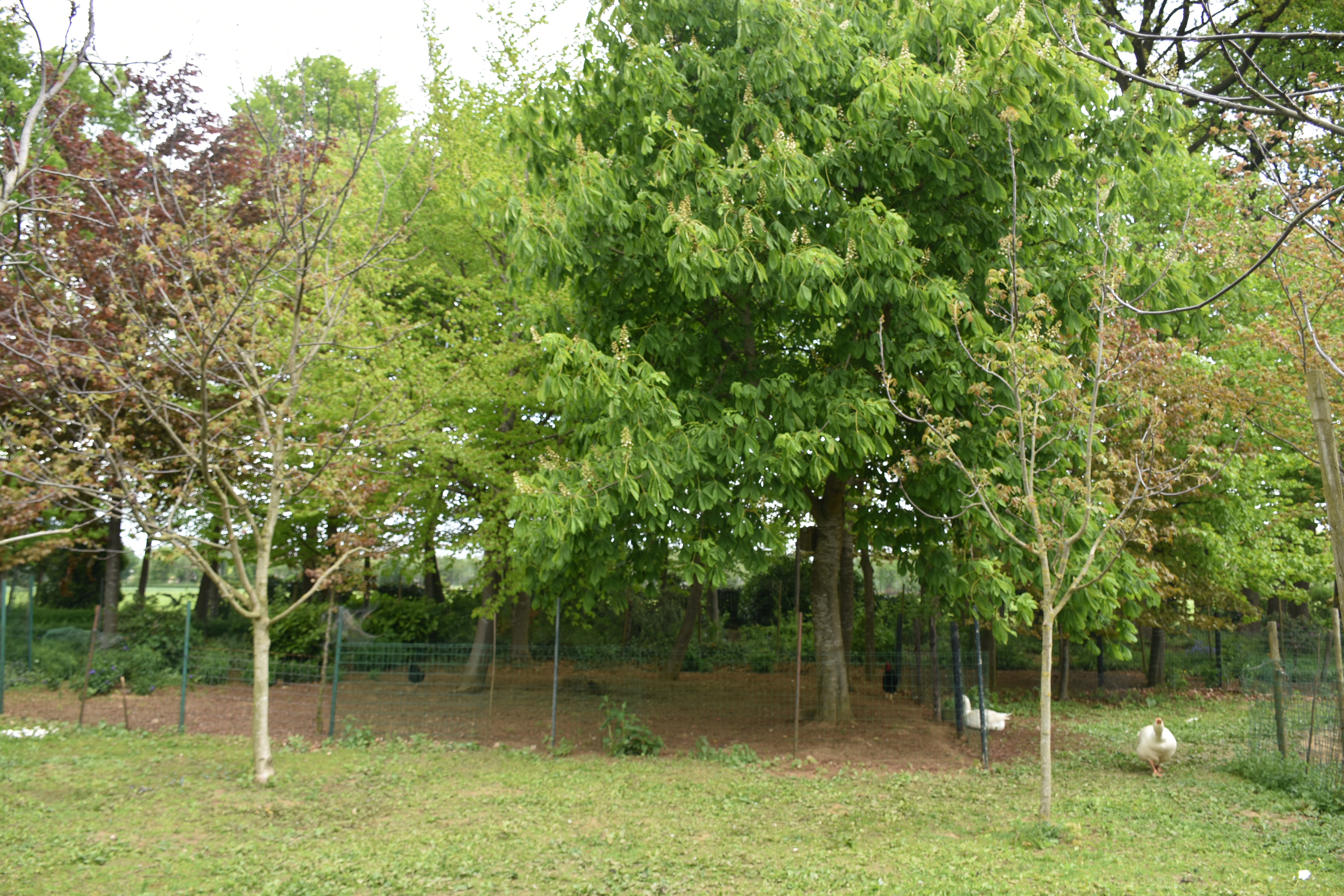 - image: 24