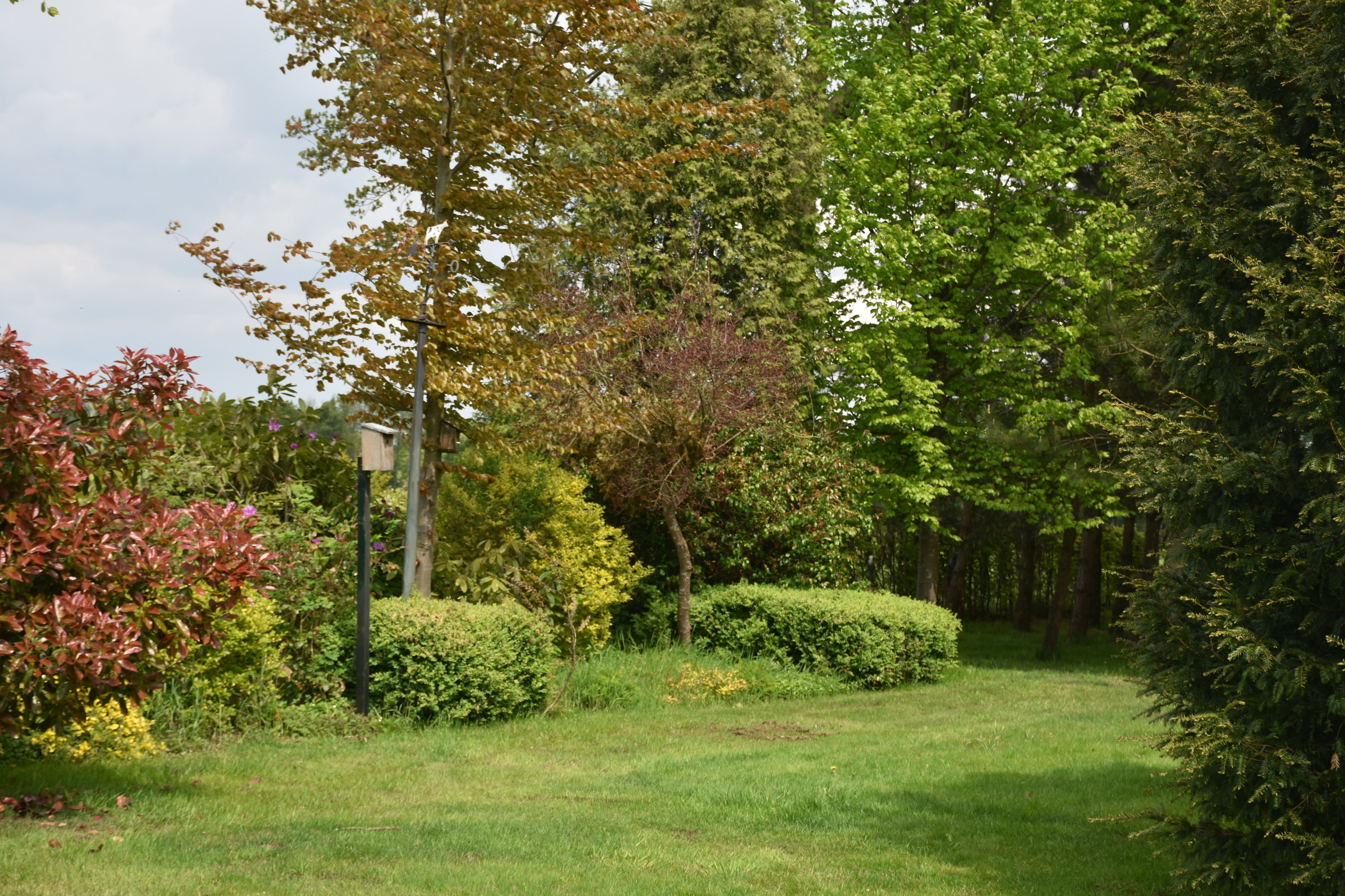 - image: 16