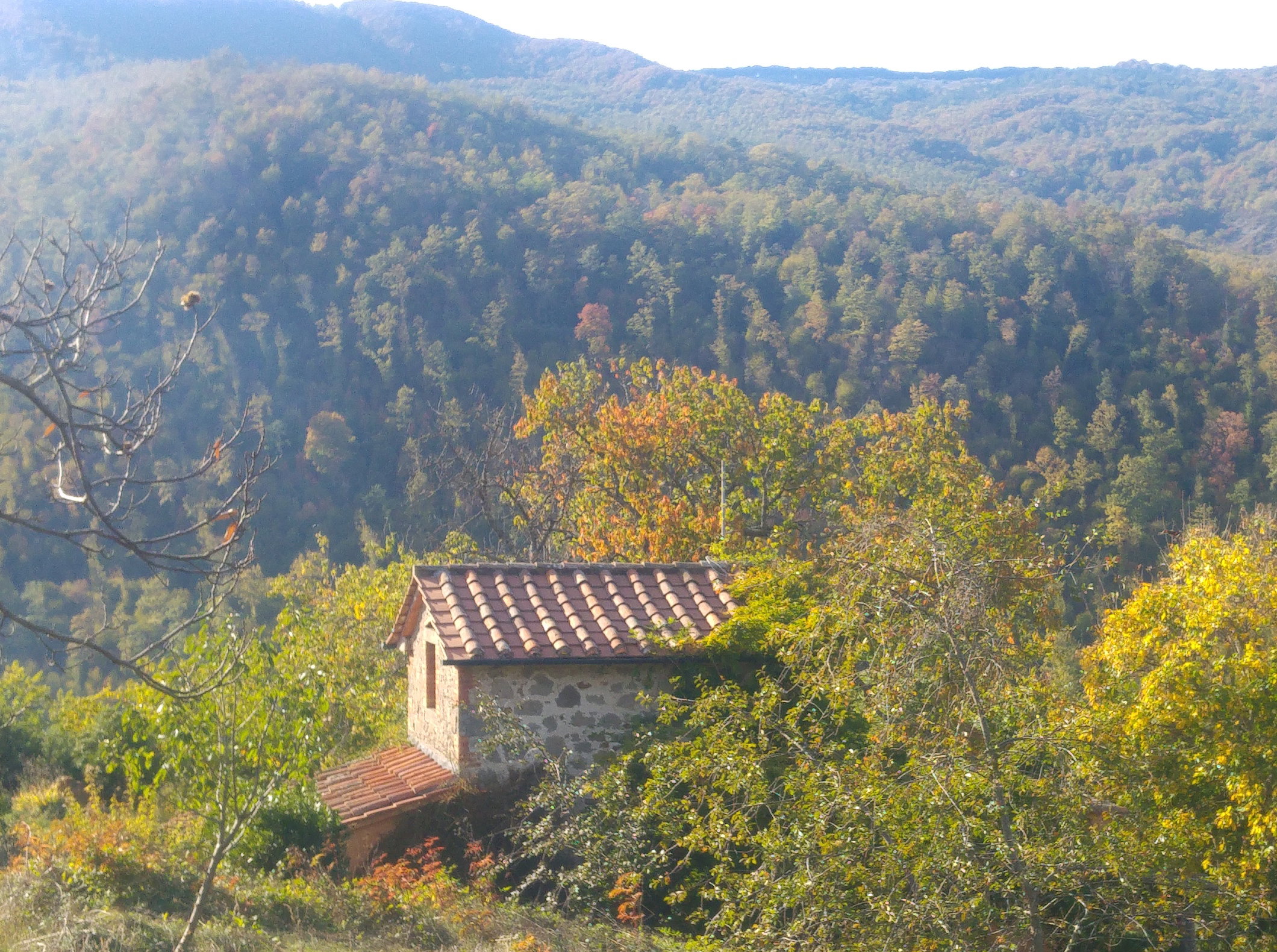 Casa nella natura a Santa Fiora