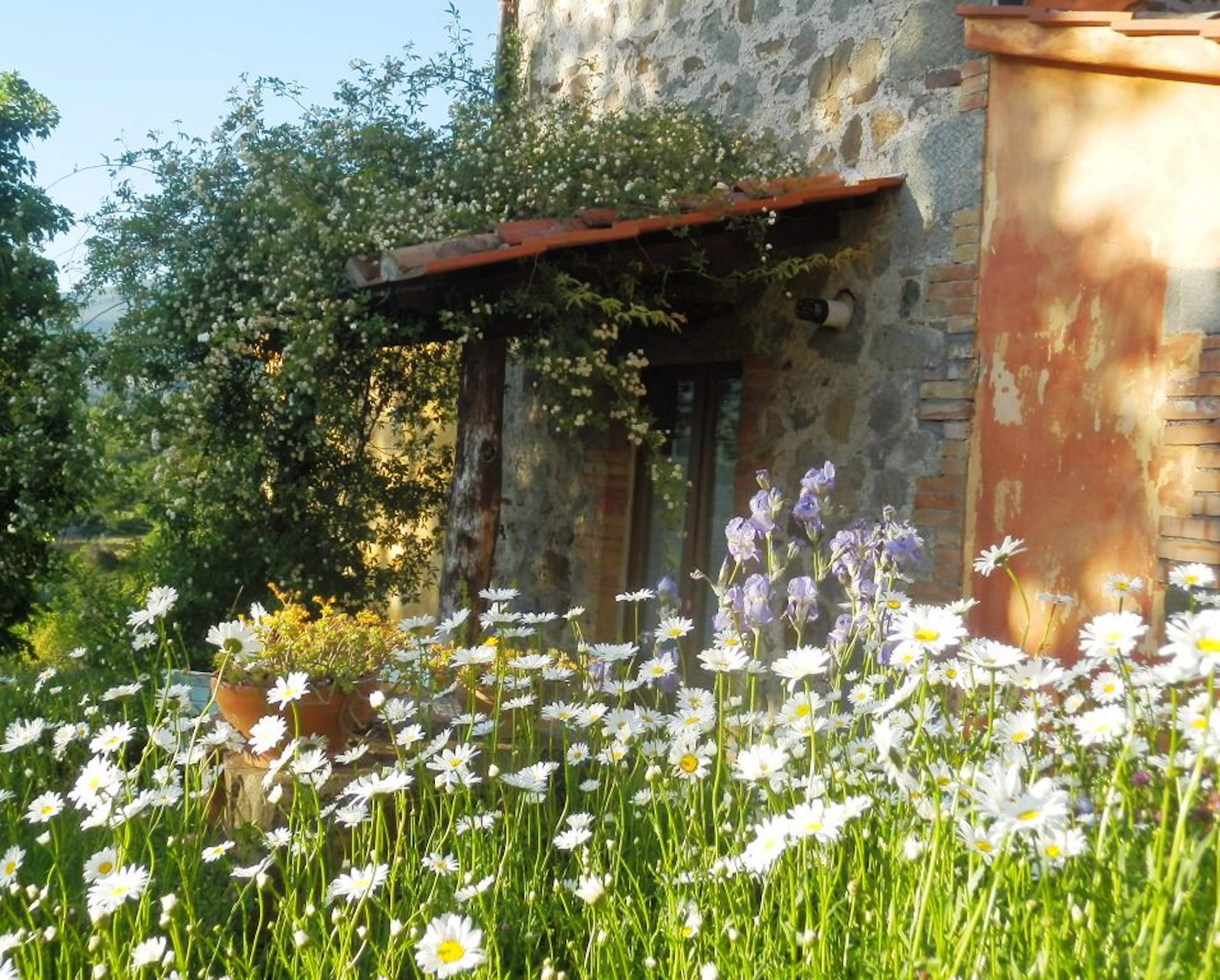 Casa nella natura a Santa Fiora