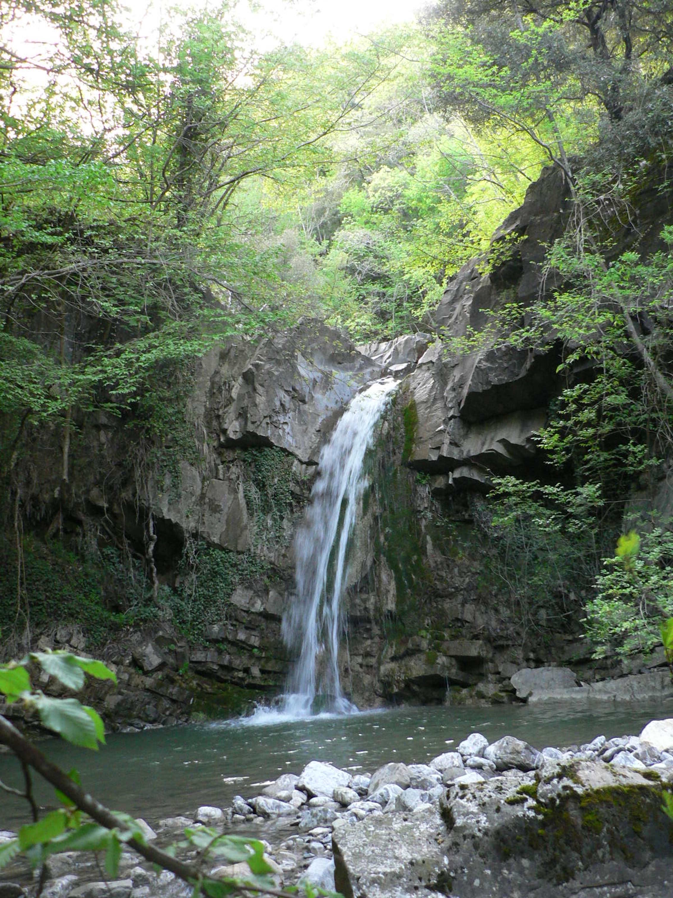 - image: 14