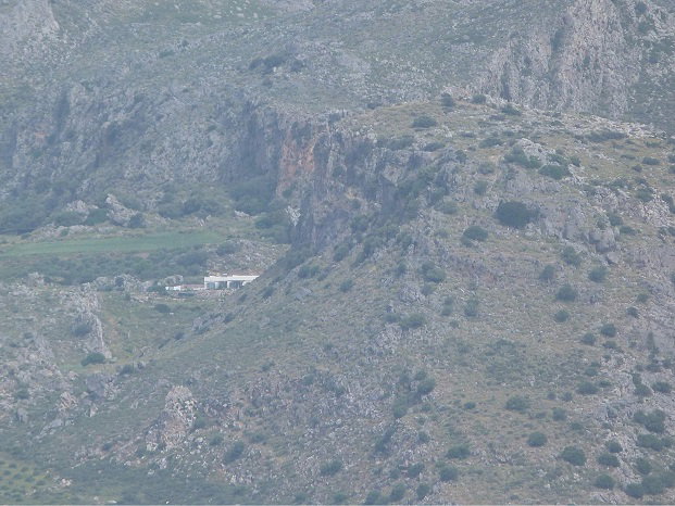 - image: 16