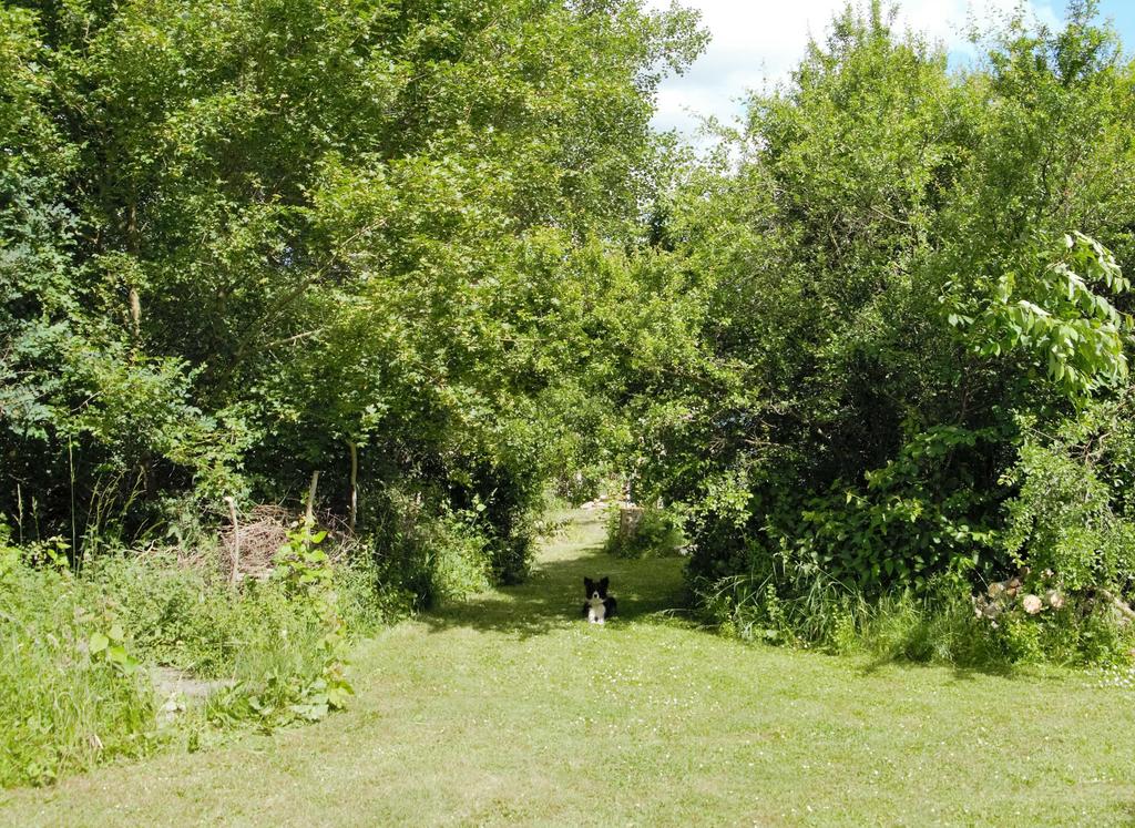 Naturhäuschen in Rügen / Datzow