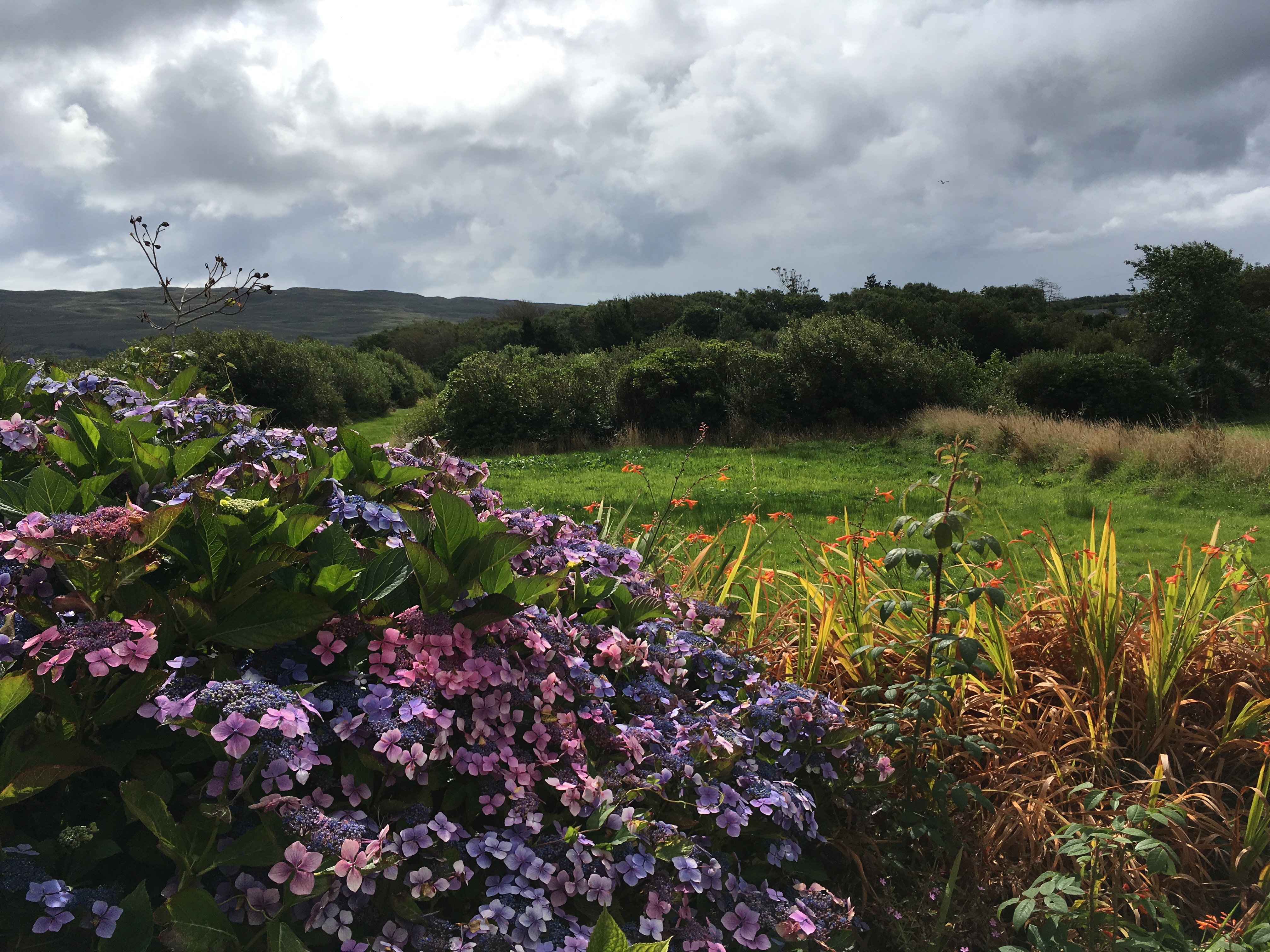 Natuurhuisje in Castletownbere