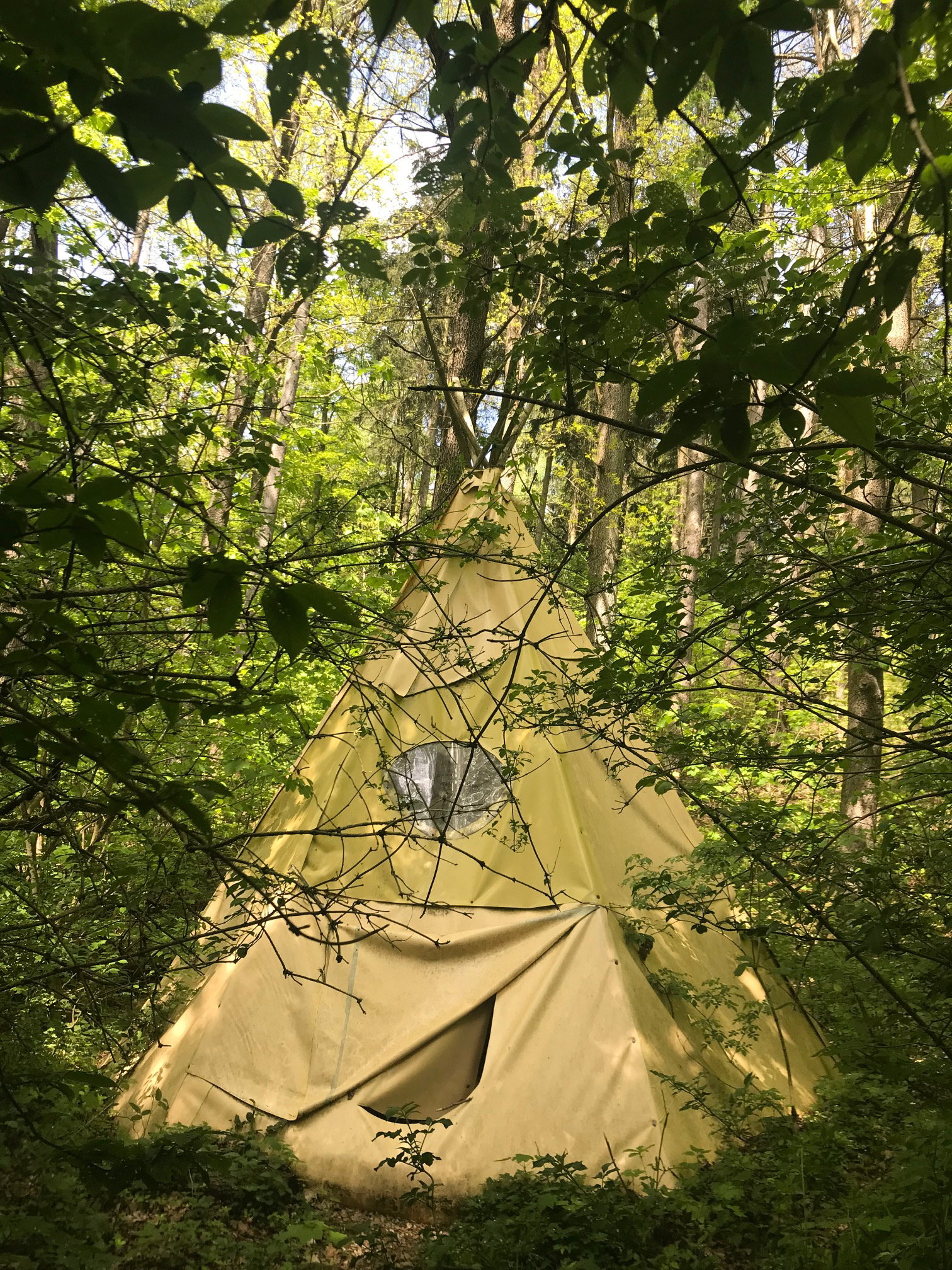 Casa nella natura a Bertsdorf-Hörnitz