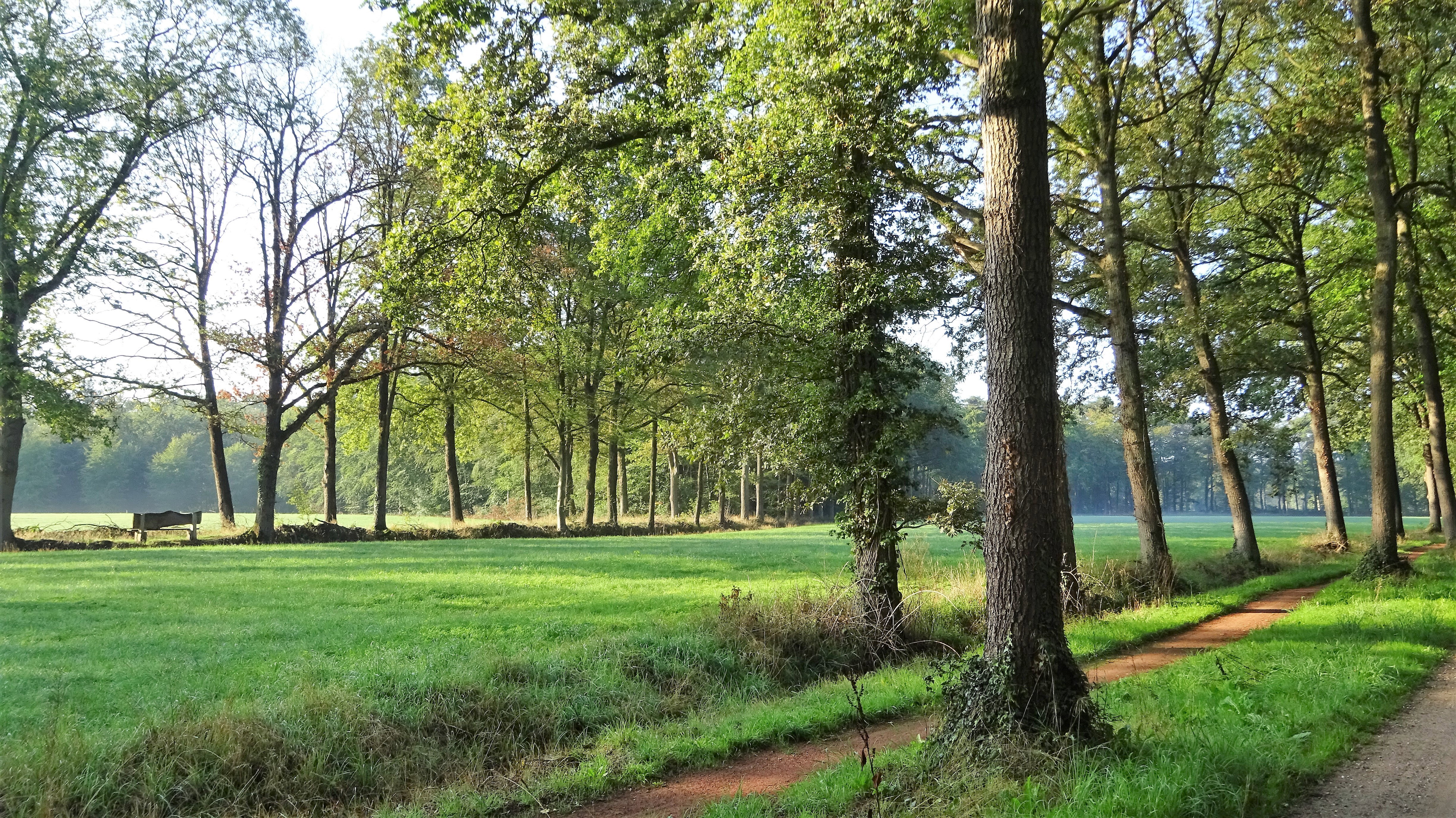 Nature house in Winterswijk