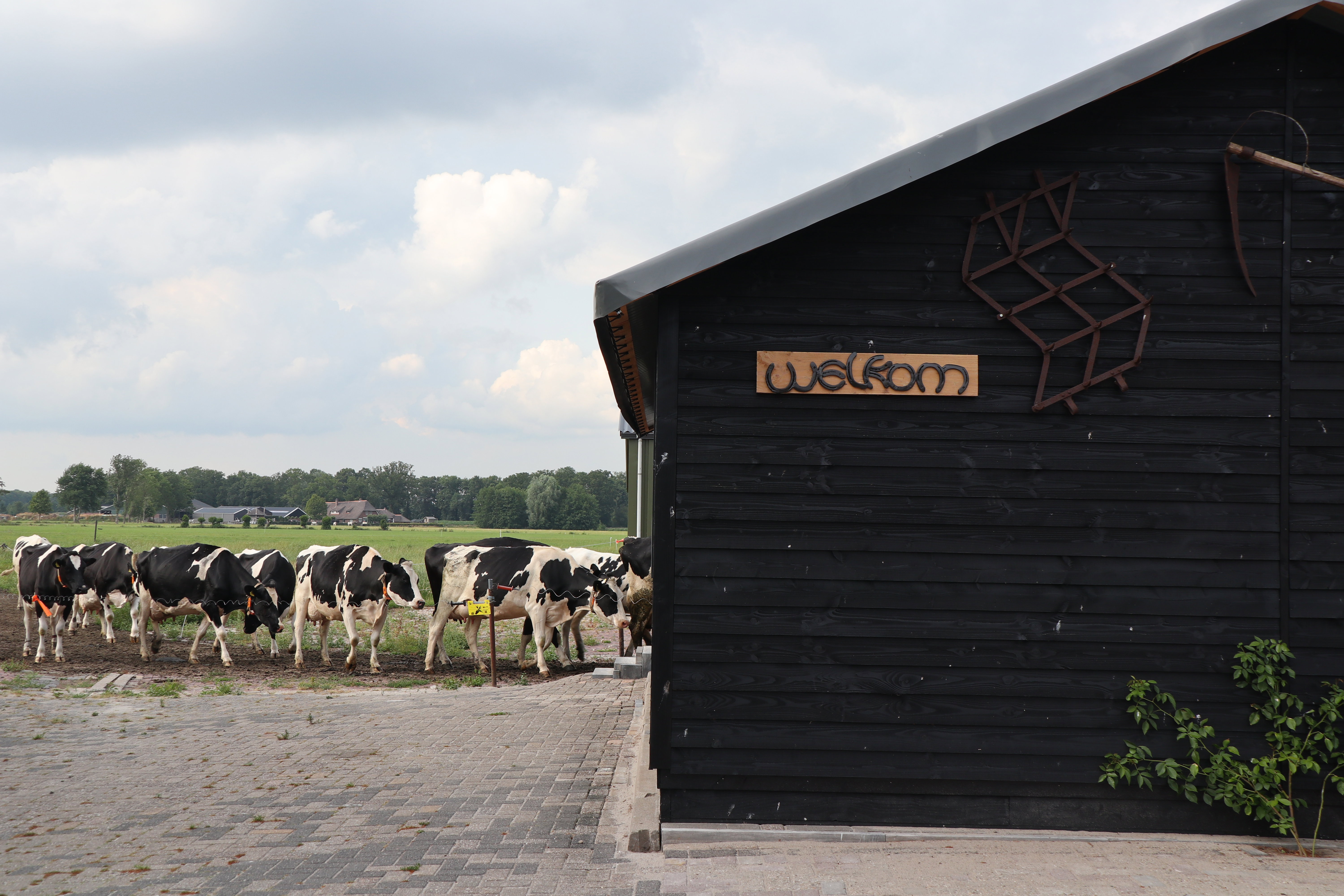 Naturhäuschen in Achterveld