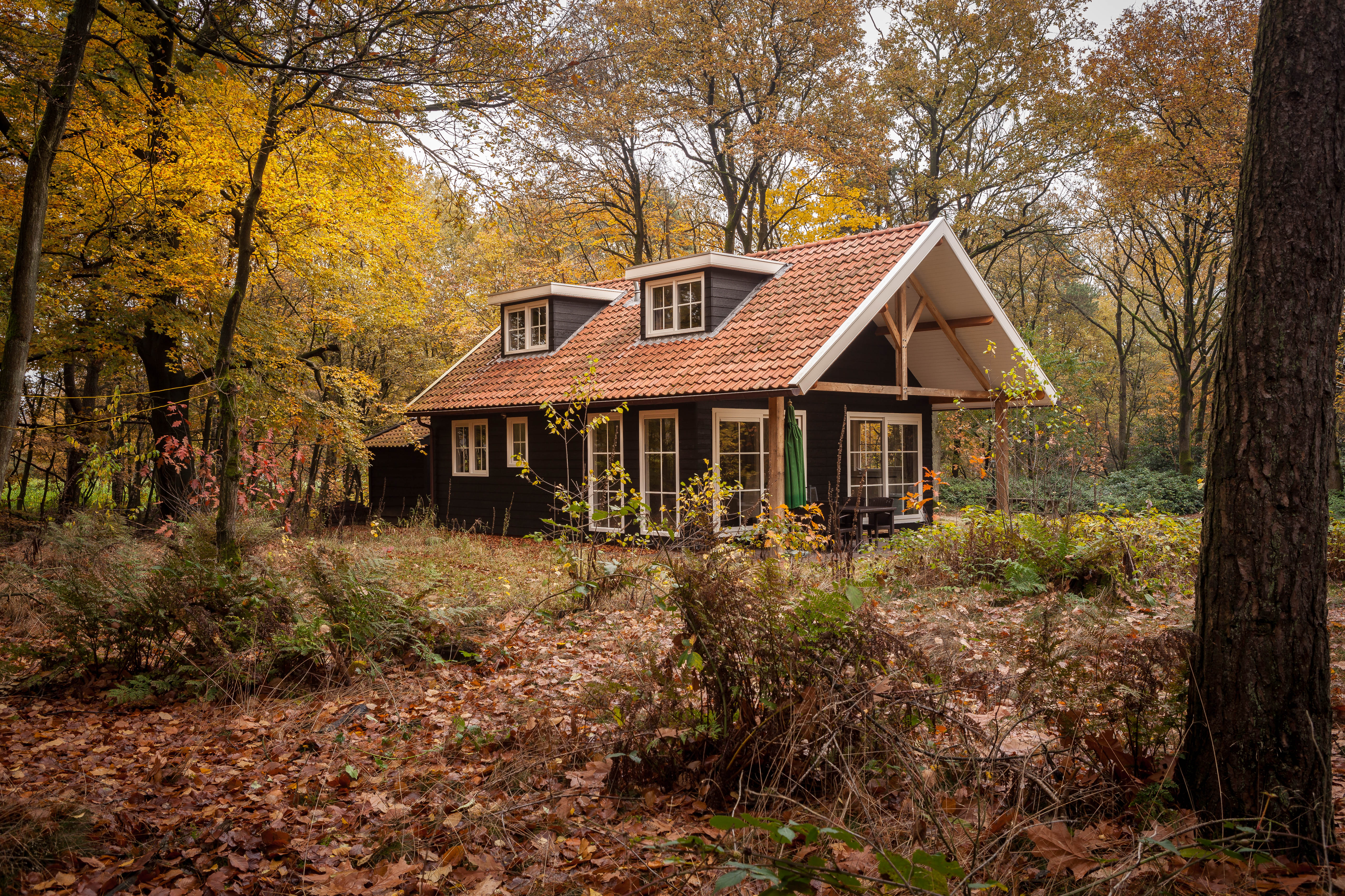 Natuurhuisje in Hezingen