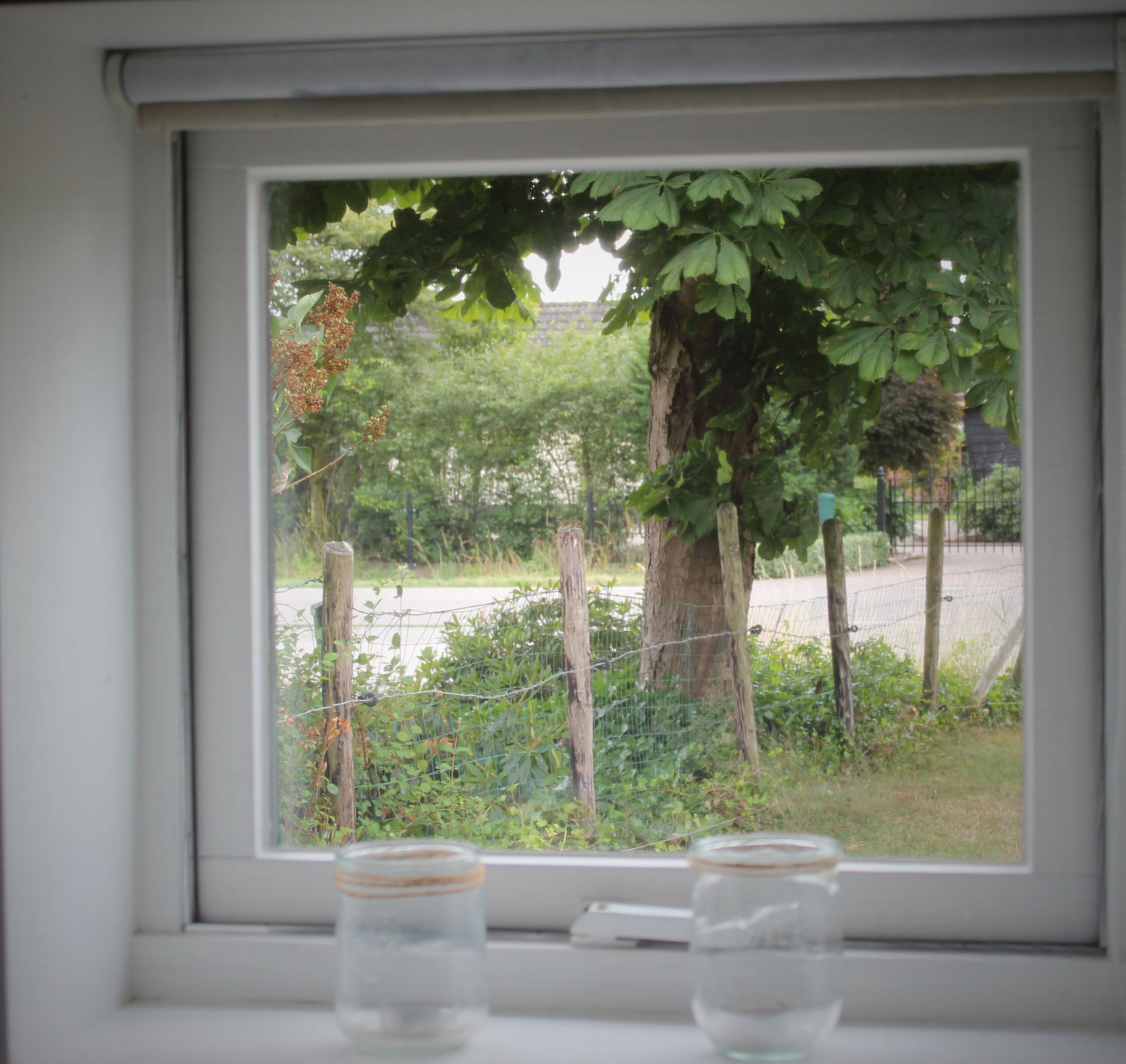 - image: 19
