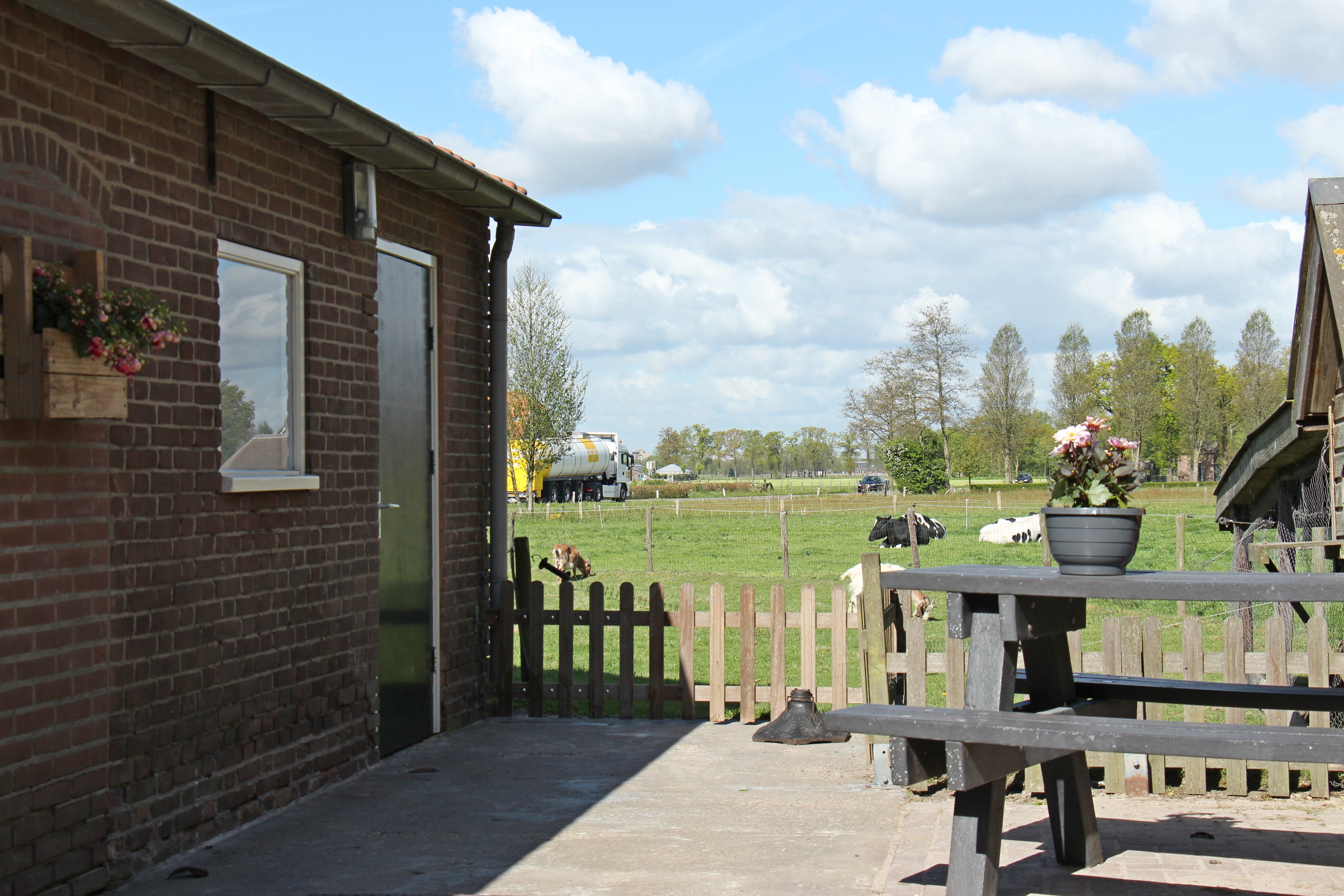 Naturhäuschen in Achterveld
