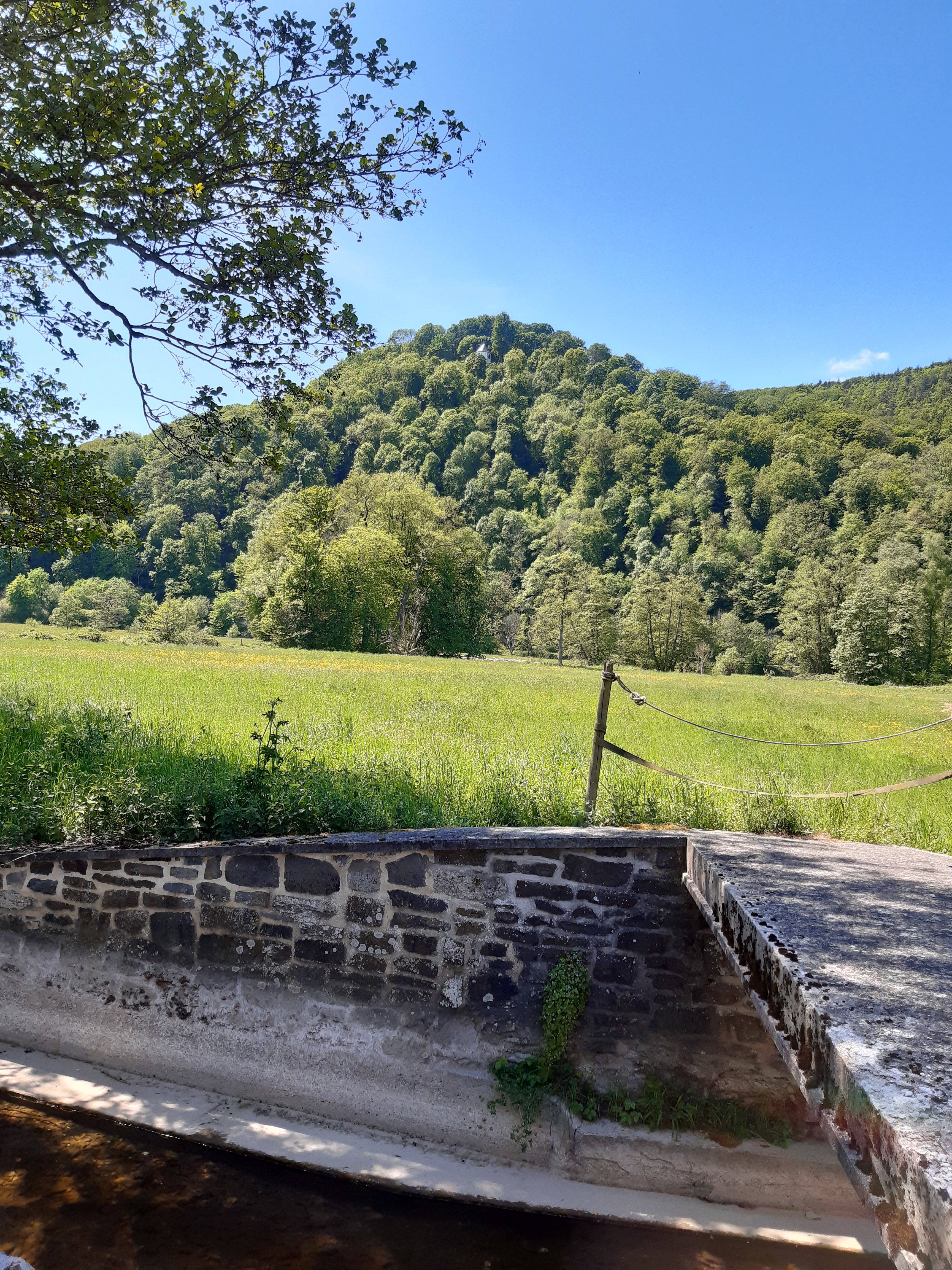 - image: 16