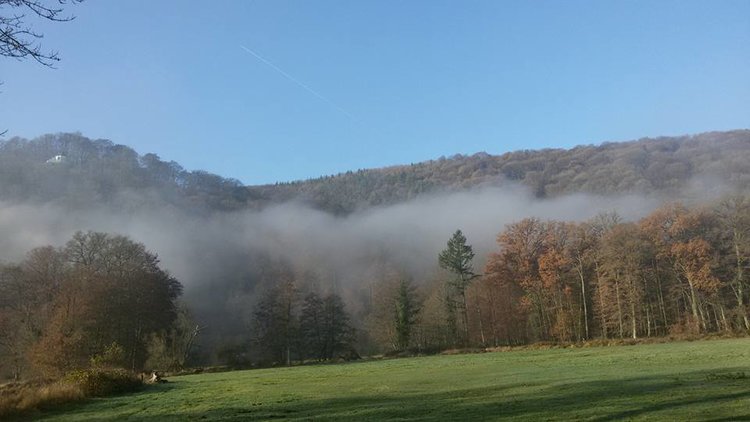 - image: 11