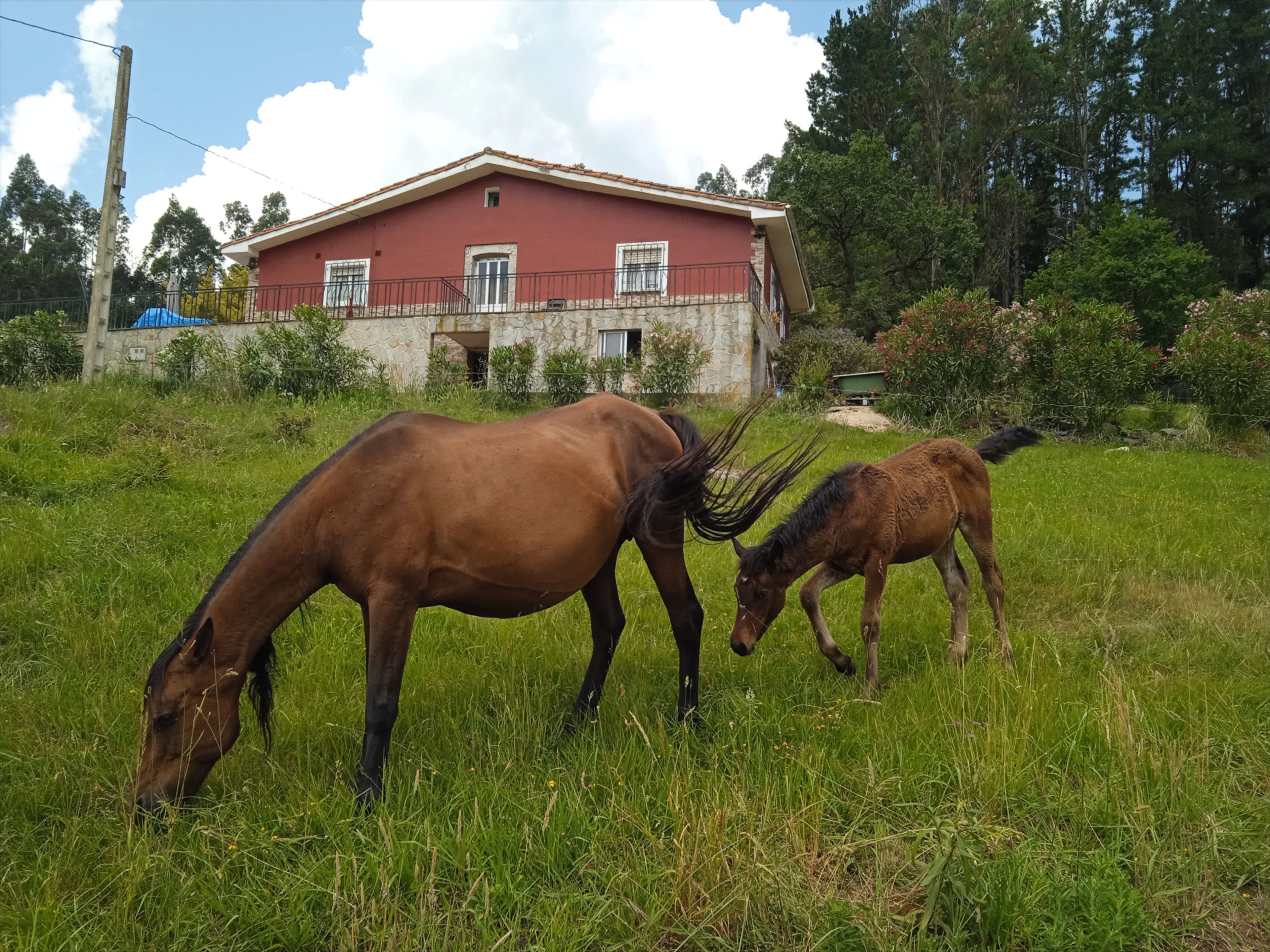 Nature house in San Román de Candamo