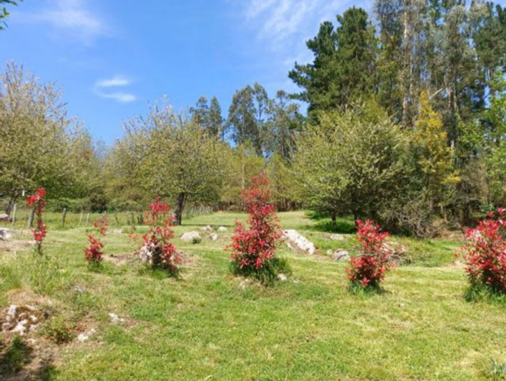 Nature house in San Román de Candamo