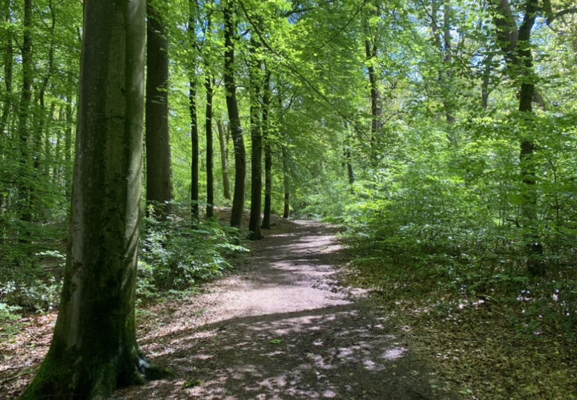 - image: 58