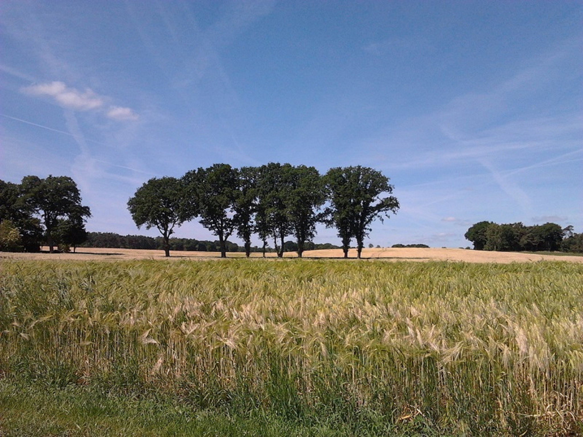 - image: 26