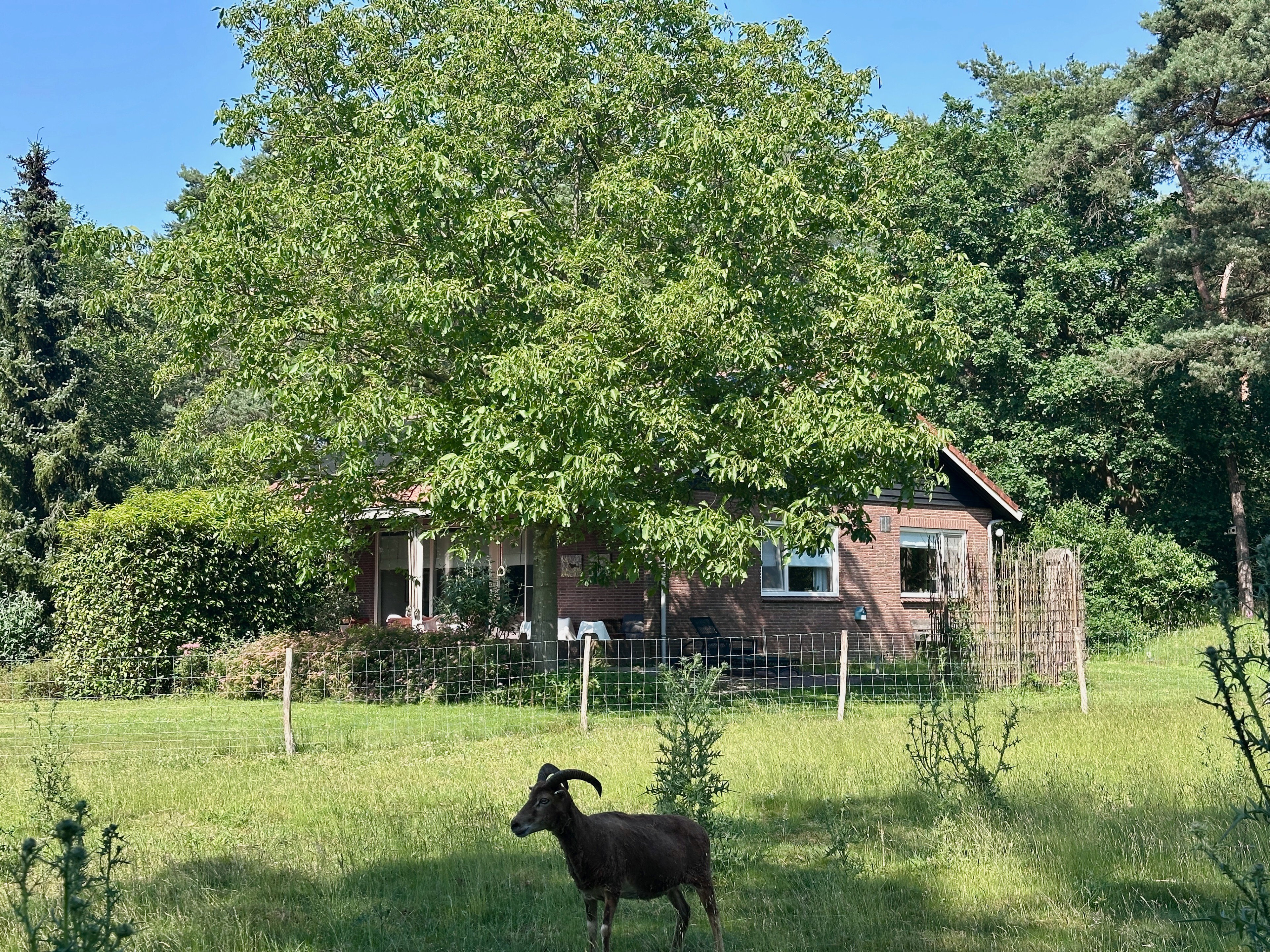 Casa nella natura a Joppe