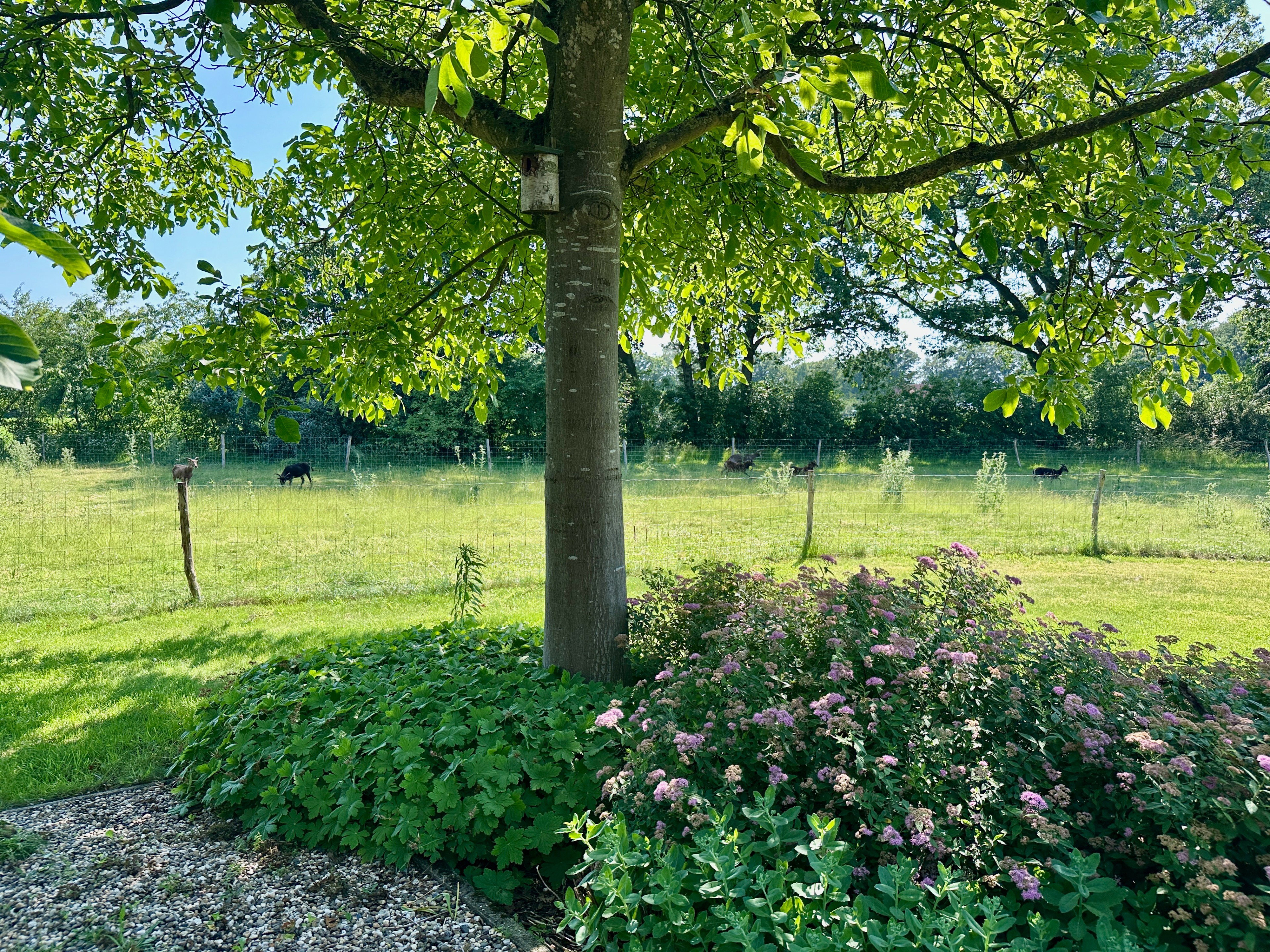 Casa nella natura a Joppe