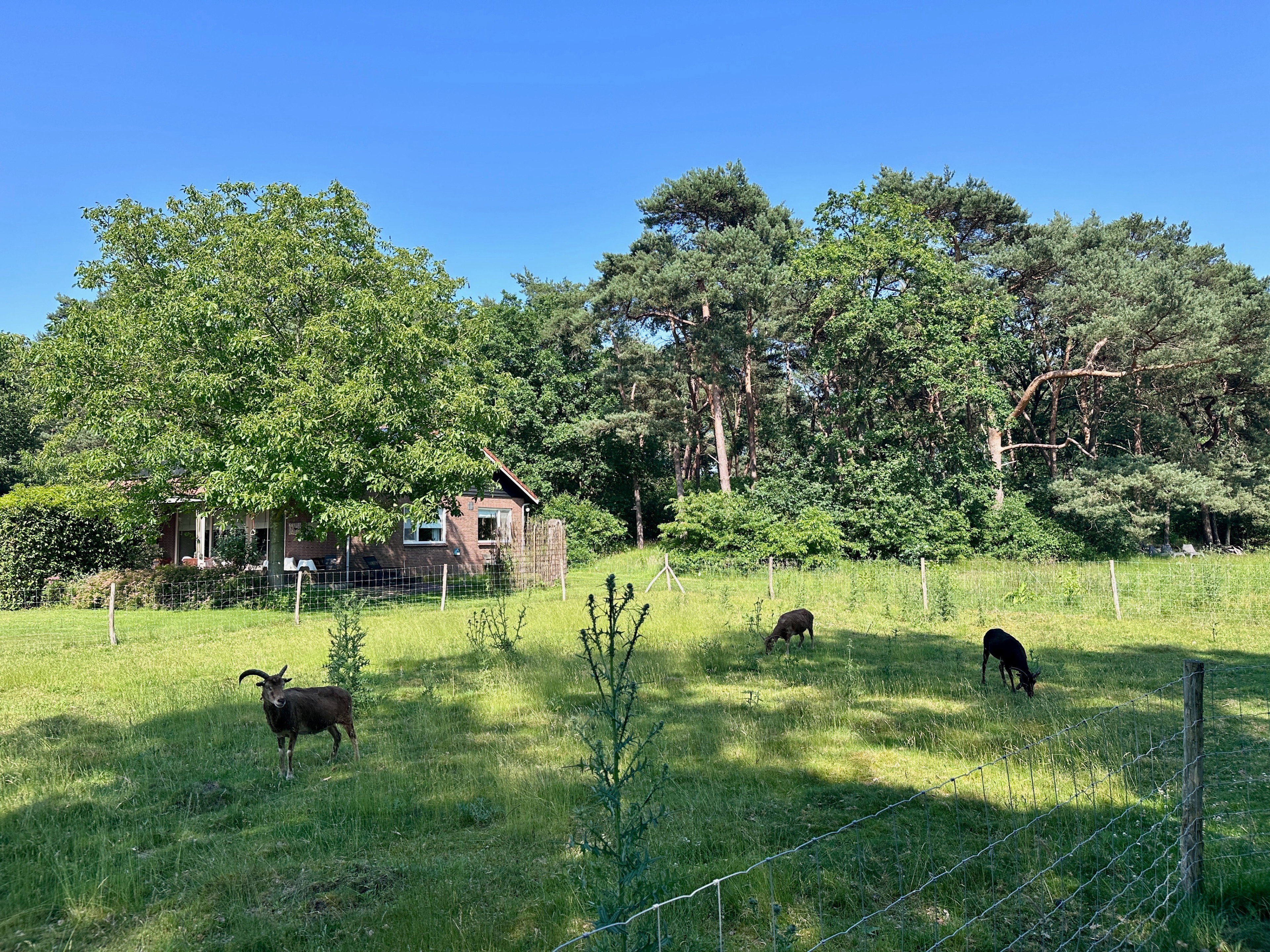 Casa nella natura a Joppe