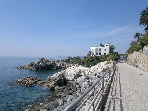 - image: 46