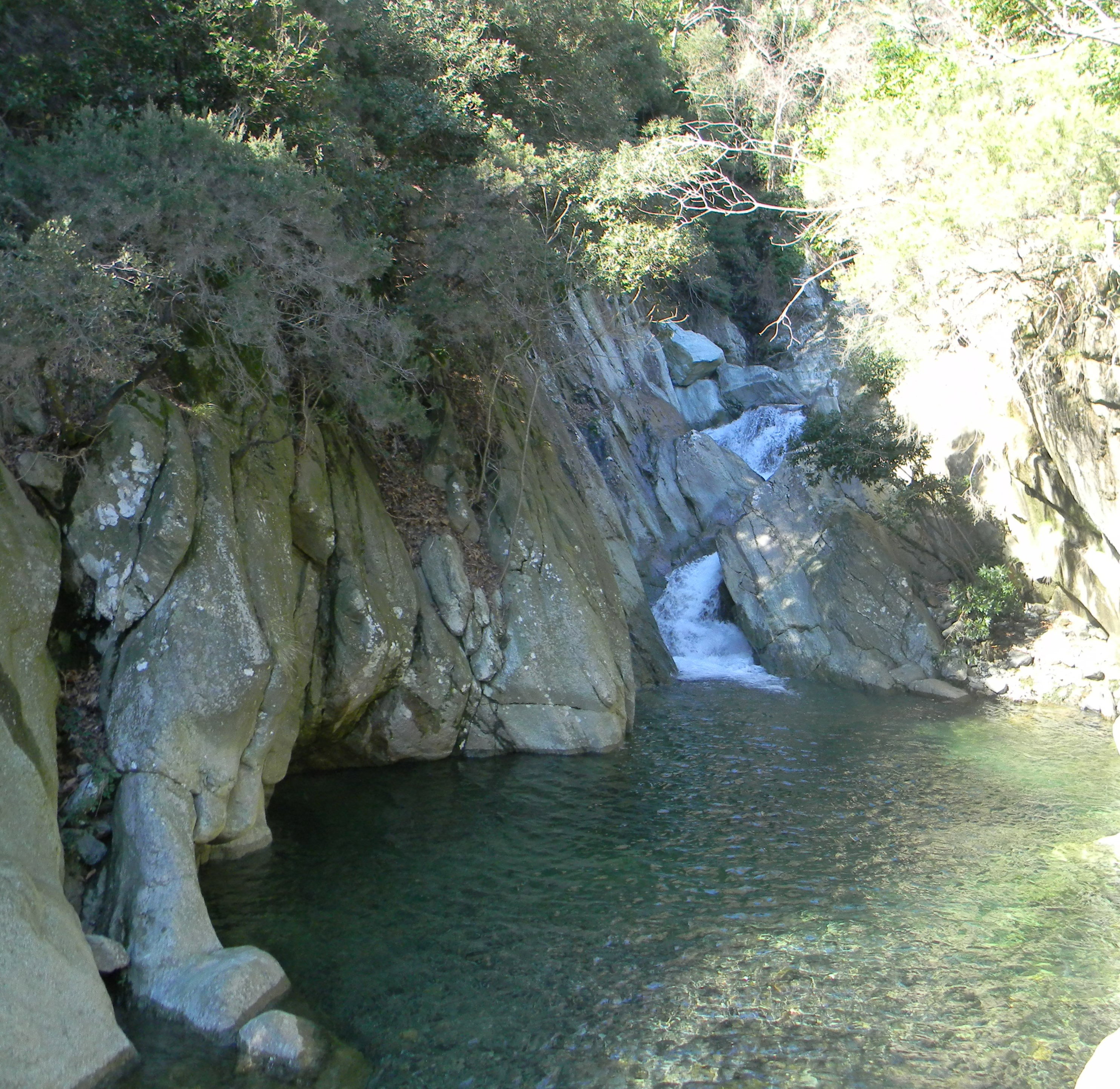 Casa nella natura a varazze