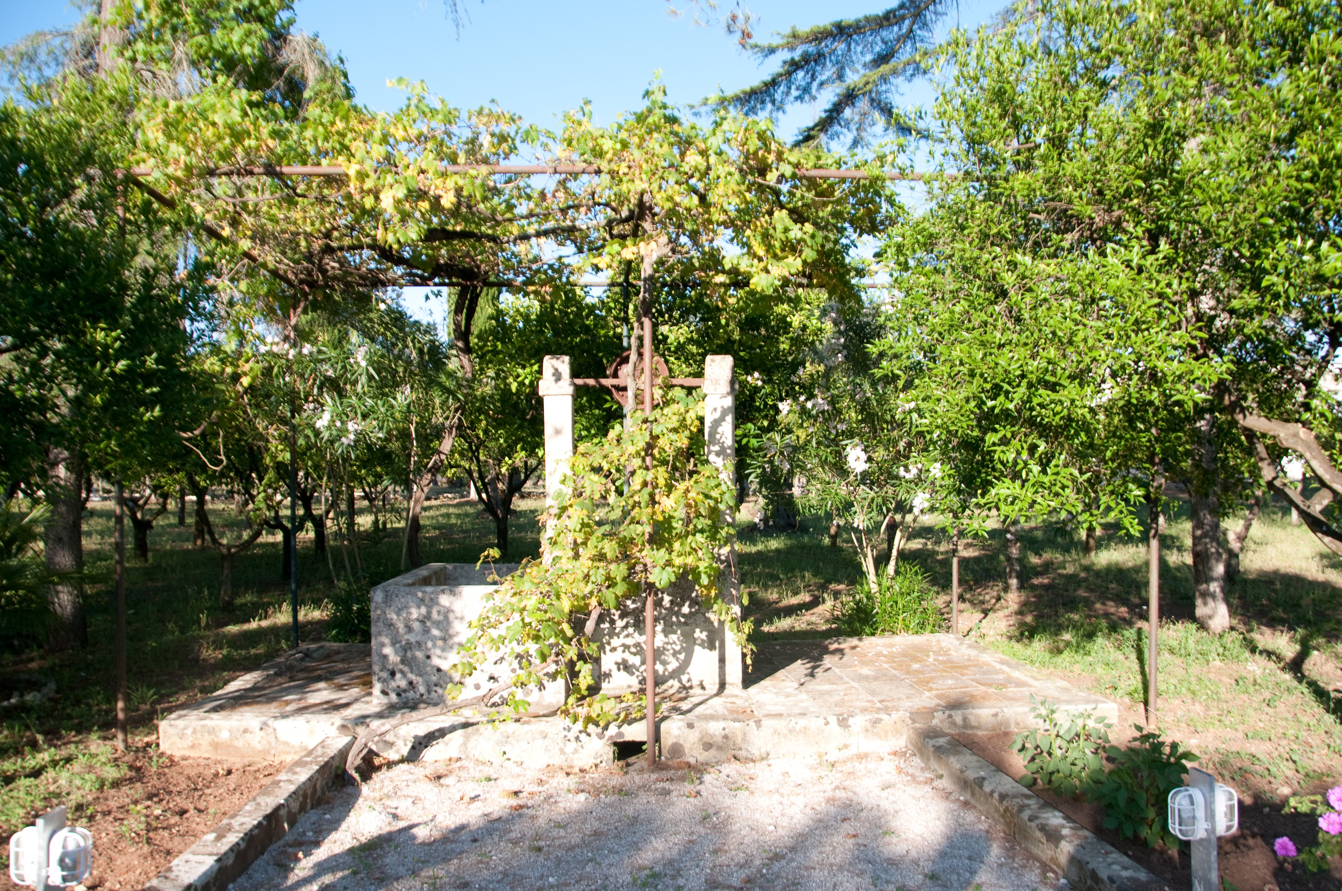 - image: 22