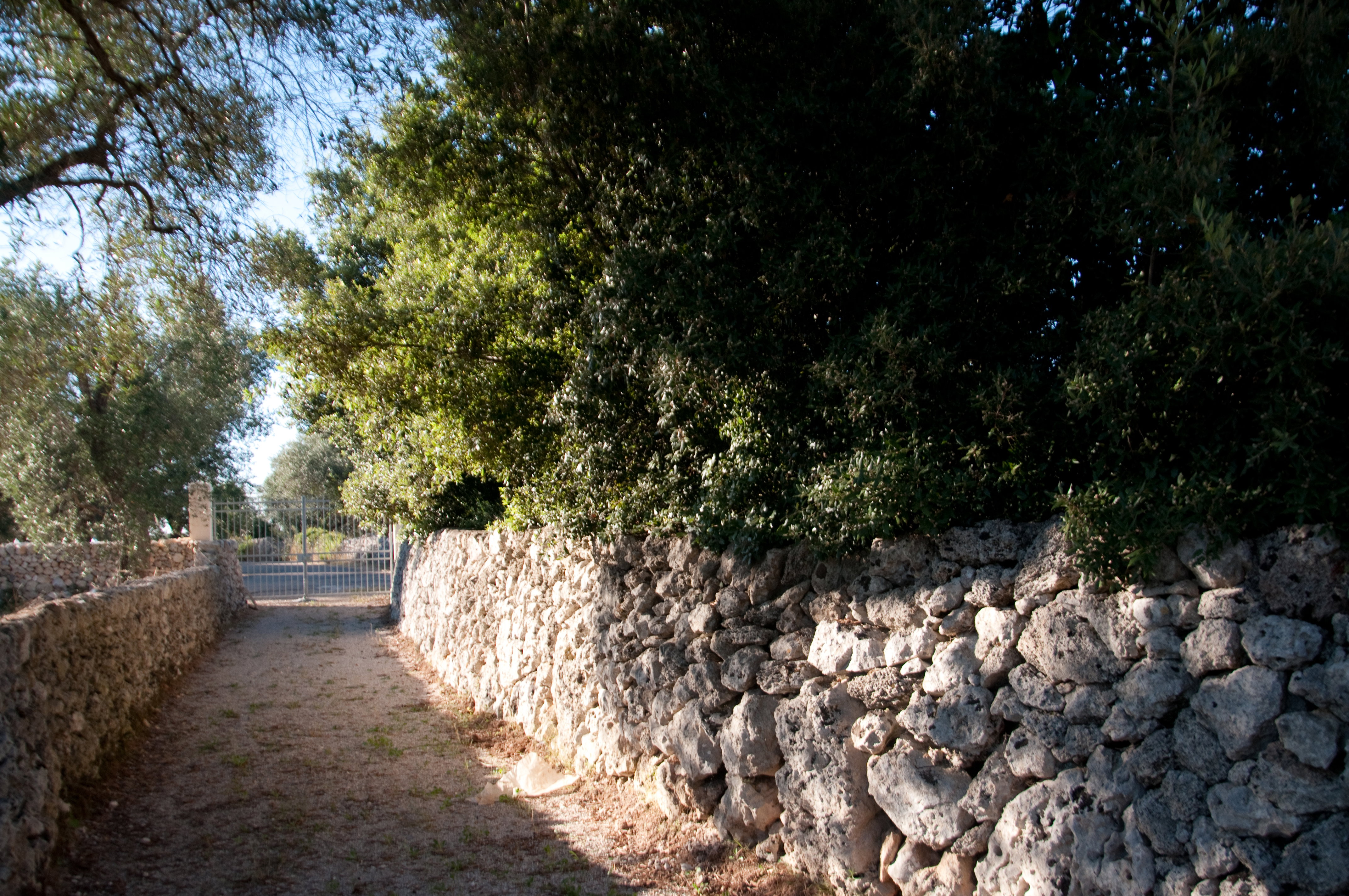 - image: 15