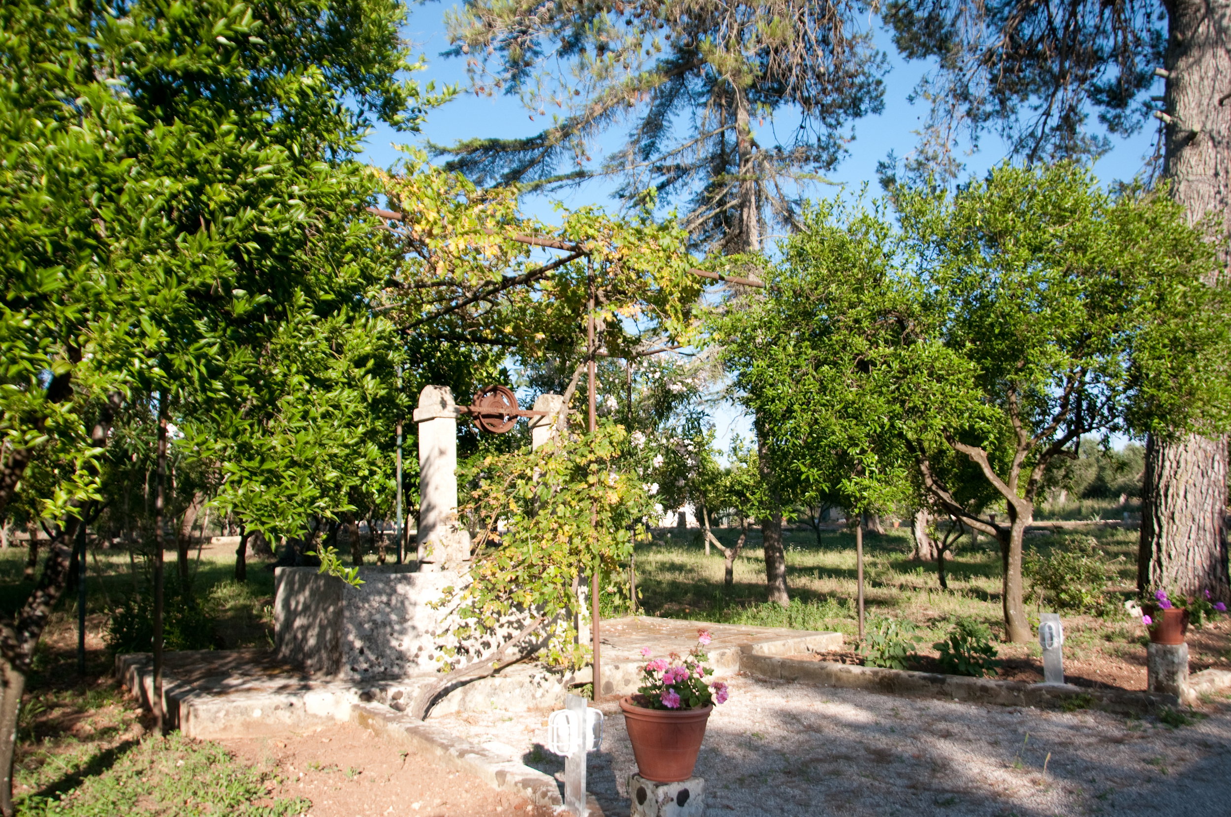 - image: 21
