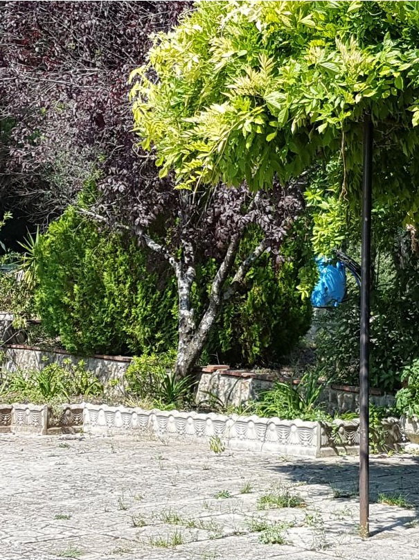 Casa nella natura a Vietri di Potenza