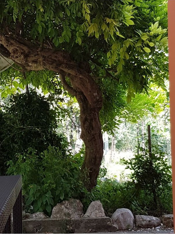 Casa nella natura a Vietri di Potenza