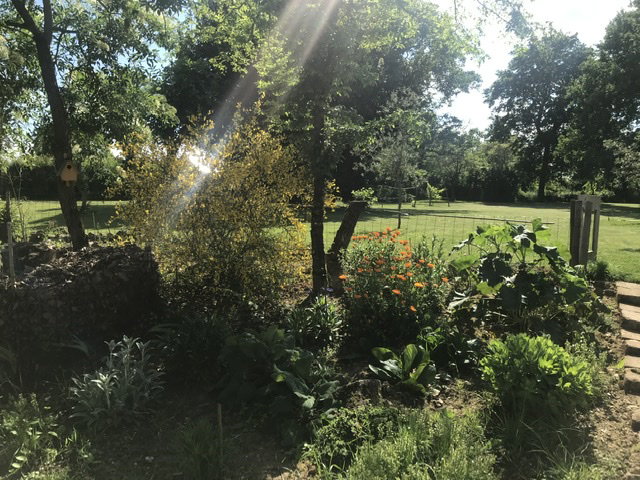 - image: 29