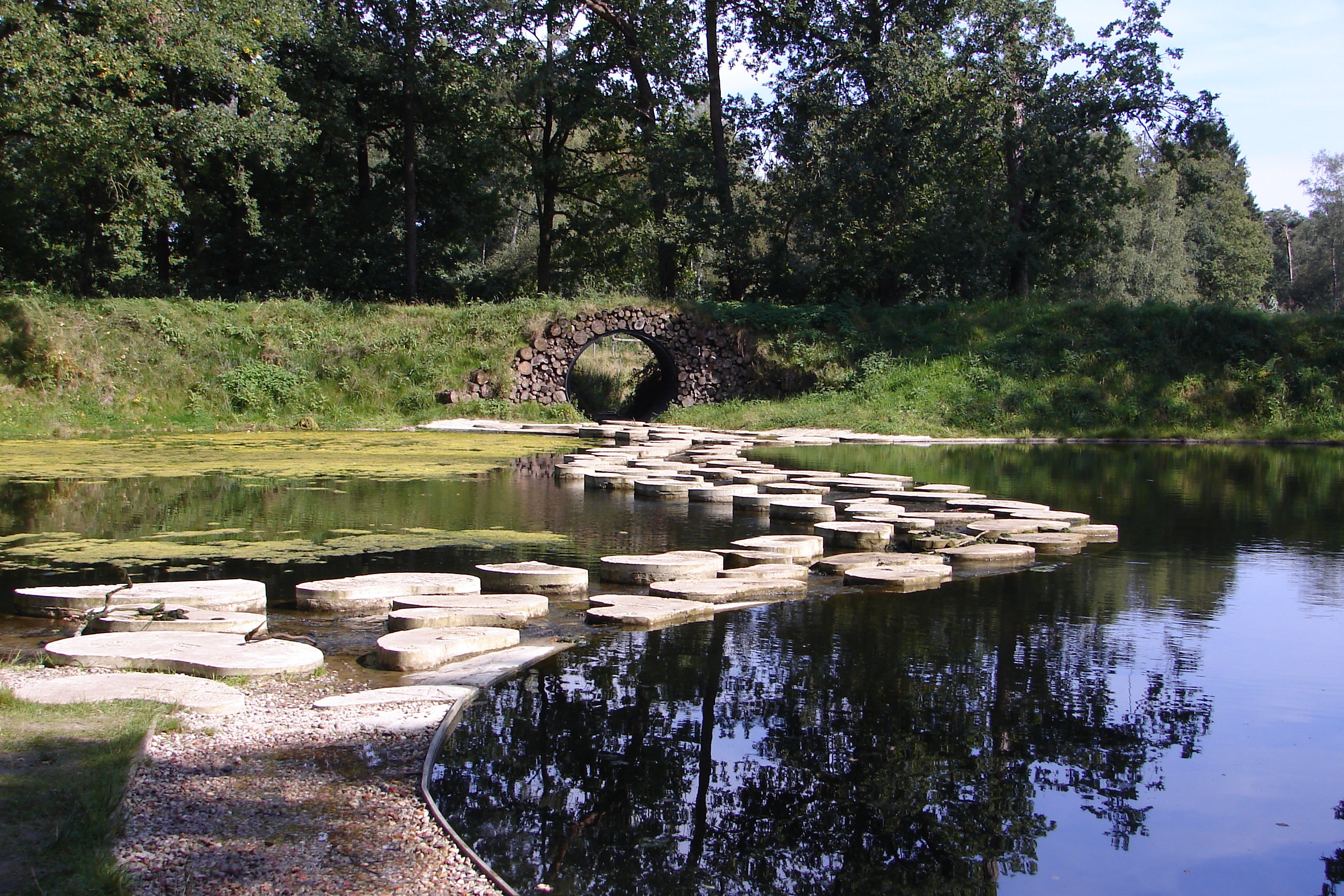 - image: 12