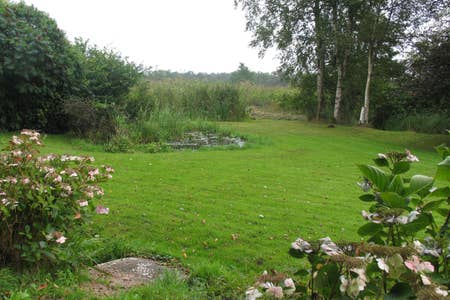 - image: 23